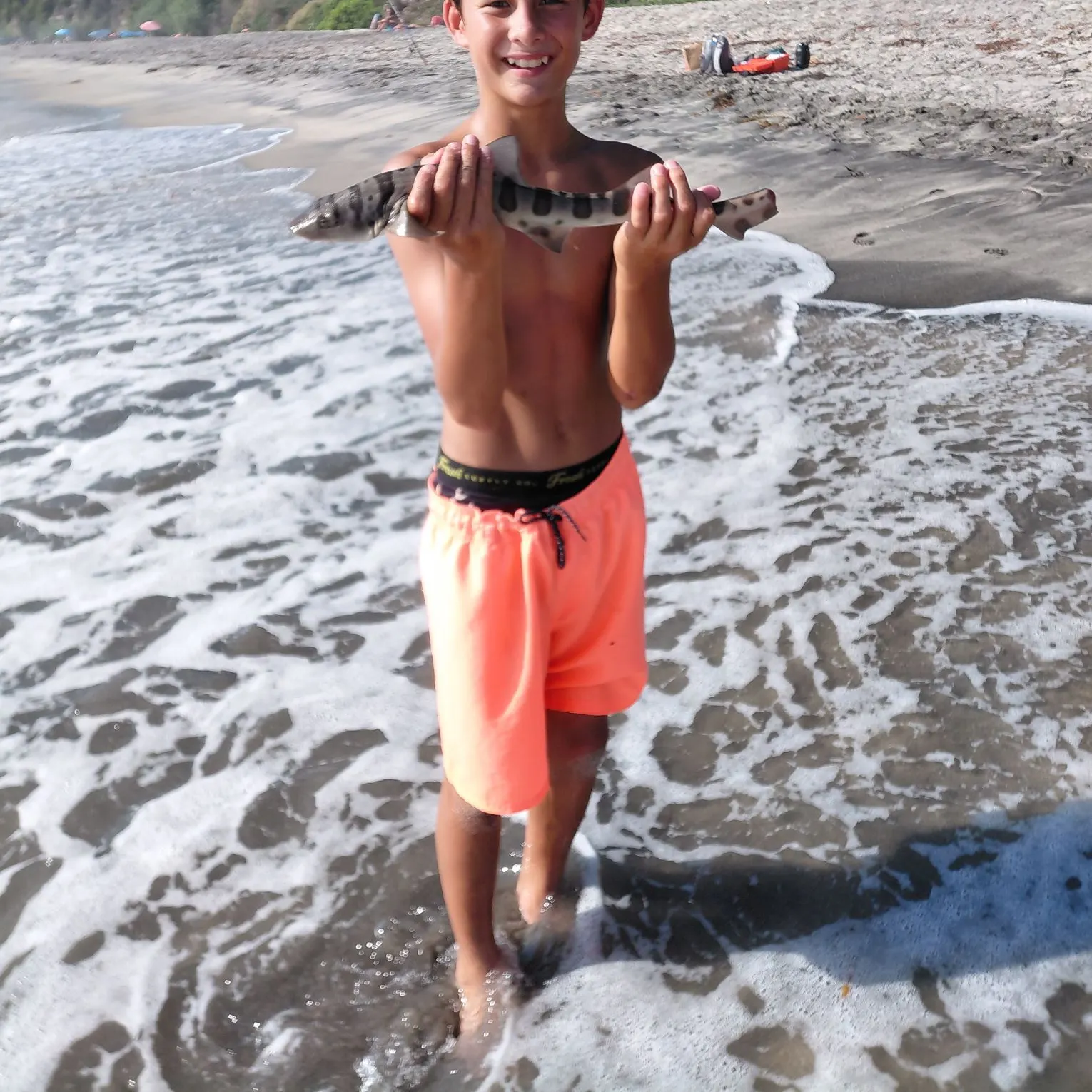 Leopard shark caught on Fishbrain