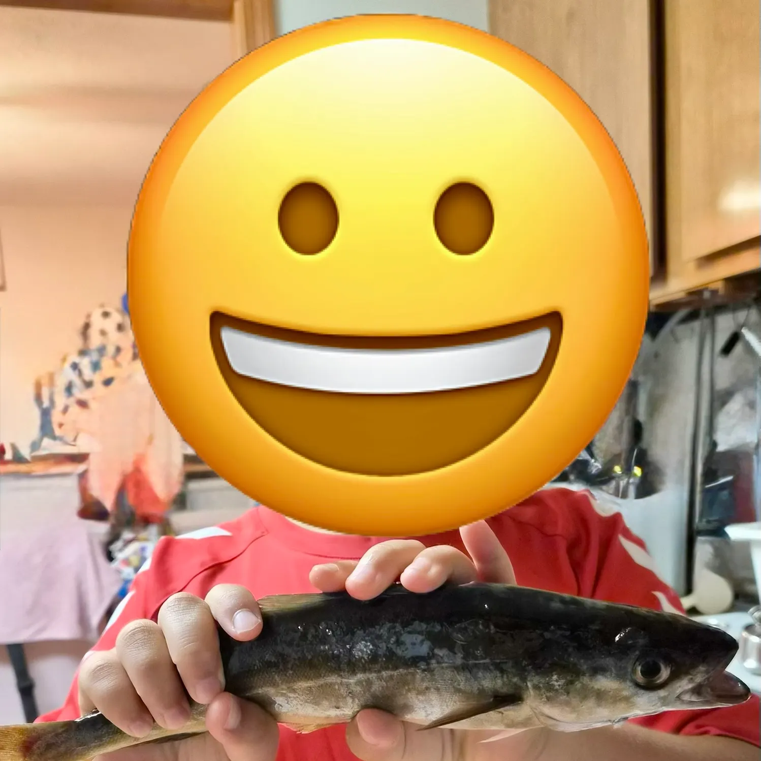 Atlantic pollock caught on Fishbrain