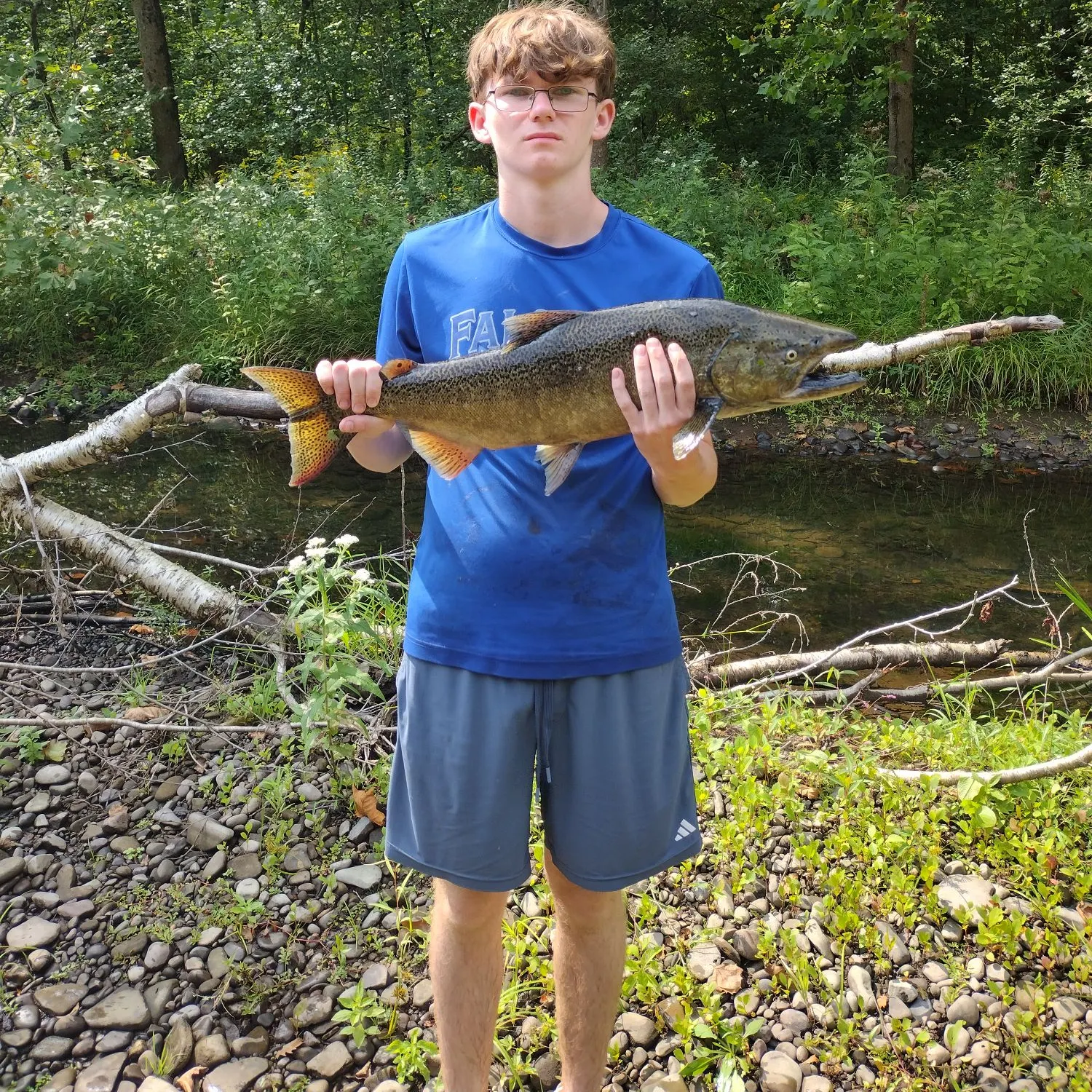 Chinook salmon caught on Fishbrain