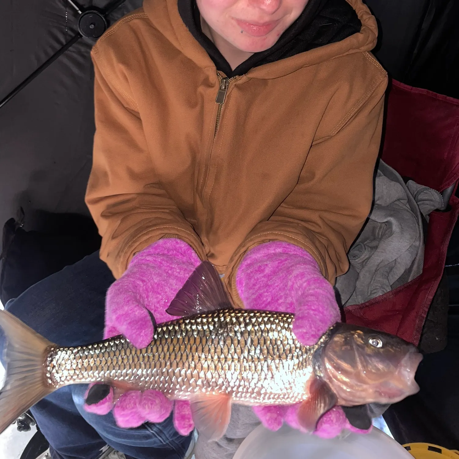 The most recent Fallfish catches on Fishbrain