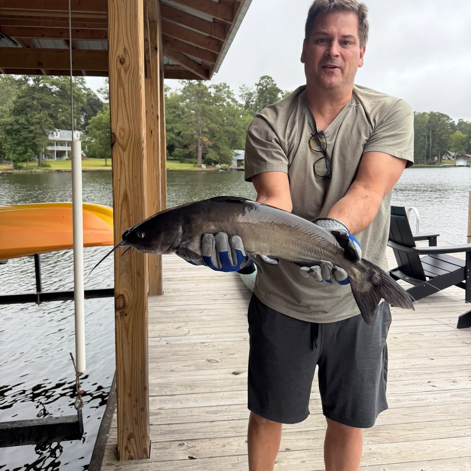 Channel catfish caught on Fishbrain