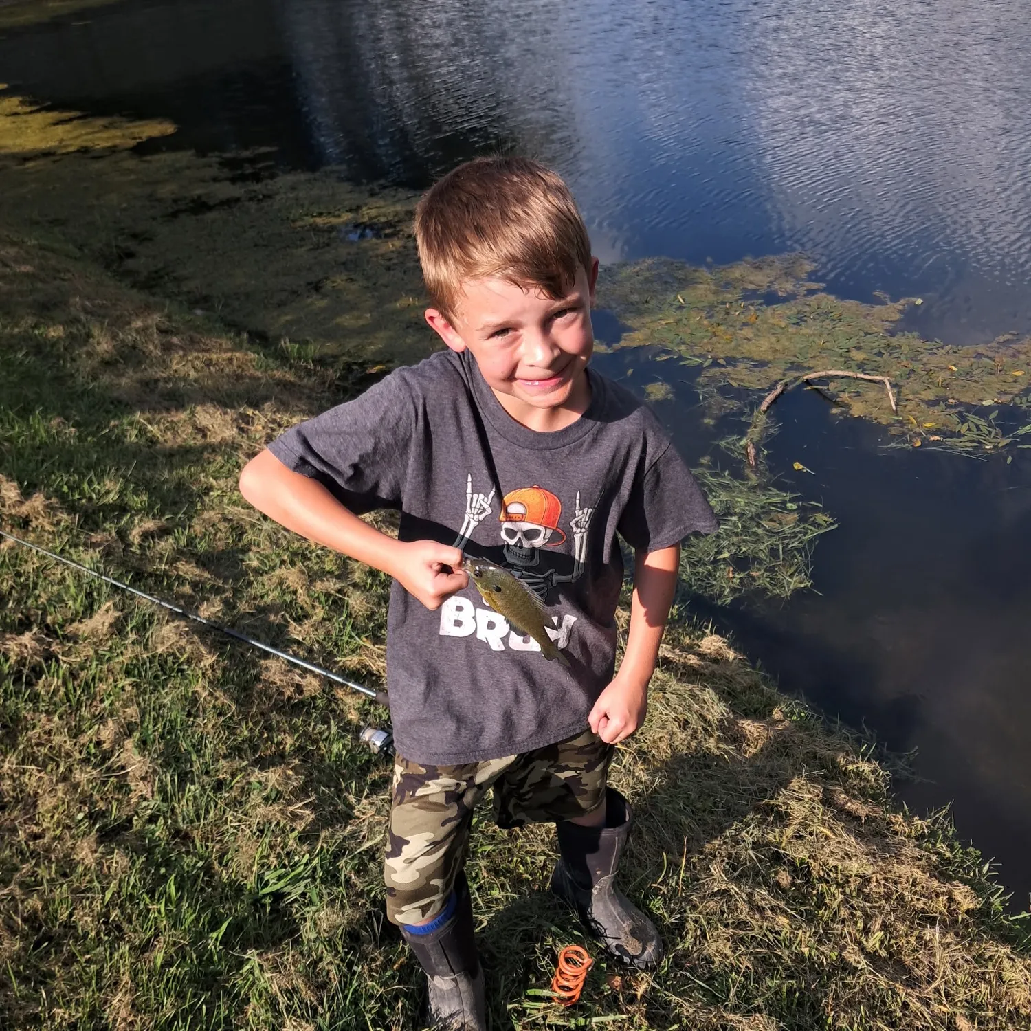 Fish caught on Fishbrain