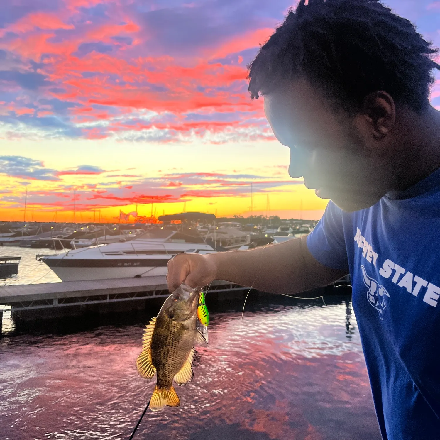 recently logged catches