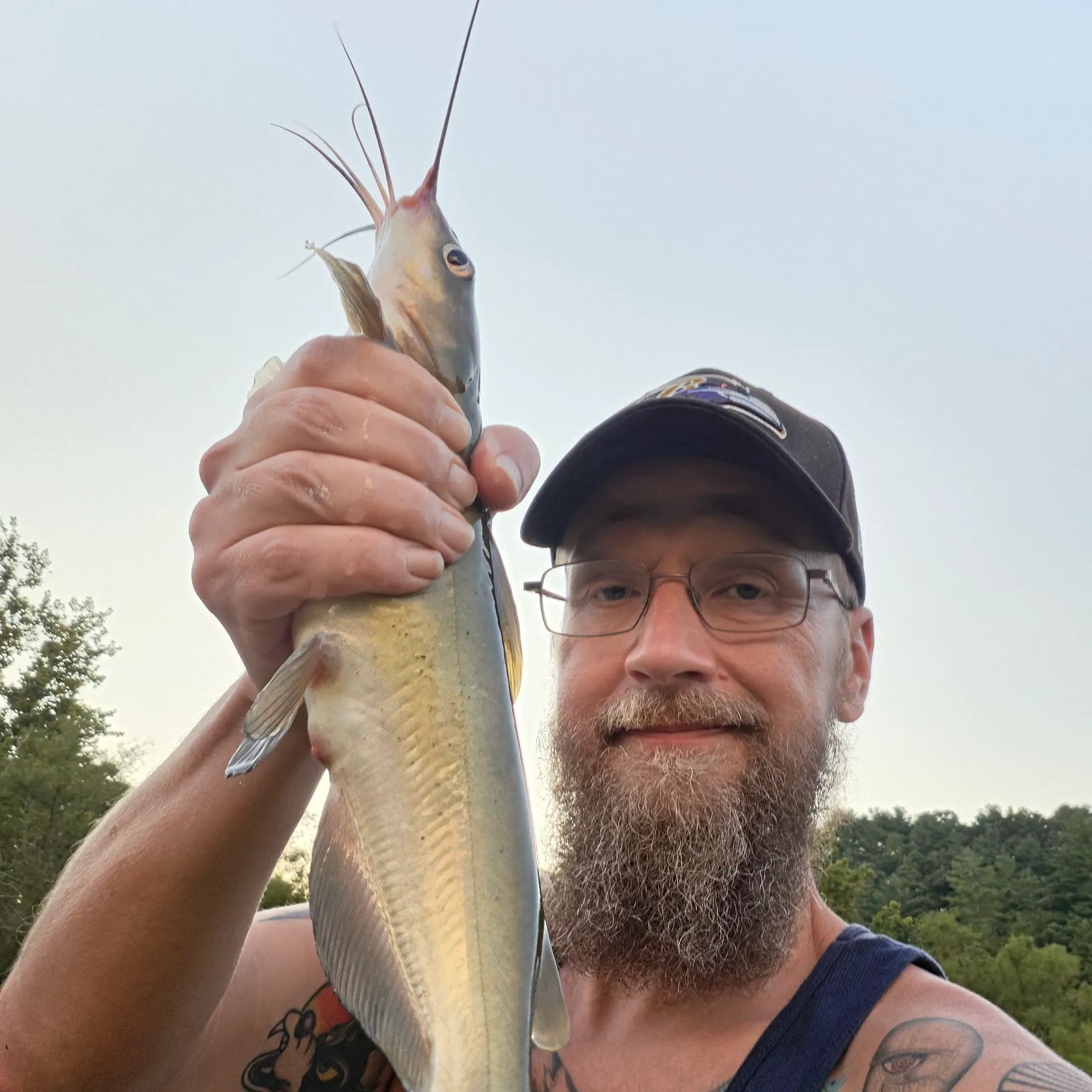 Channel catfish caught on Fishbrain
