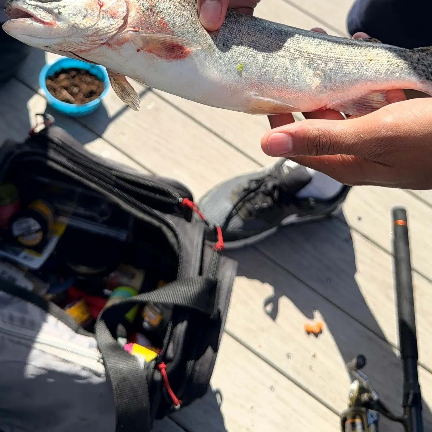 catch