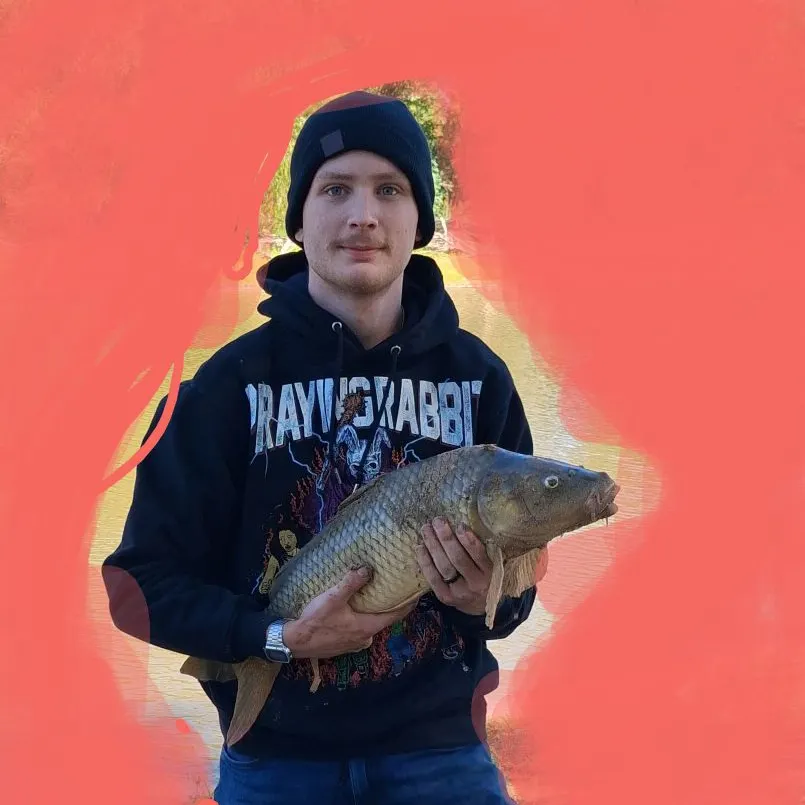 Common carp caught on Fishbrain