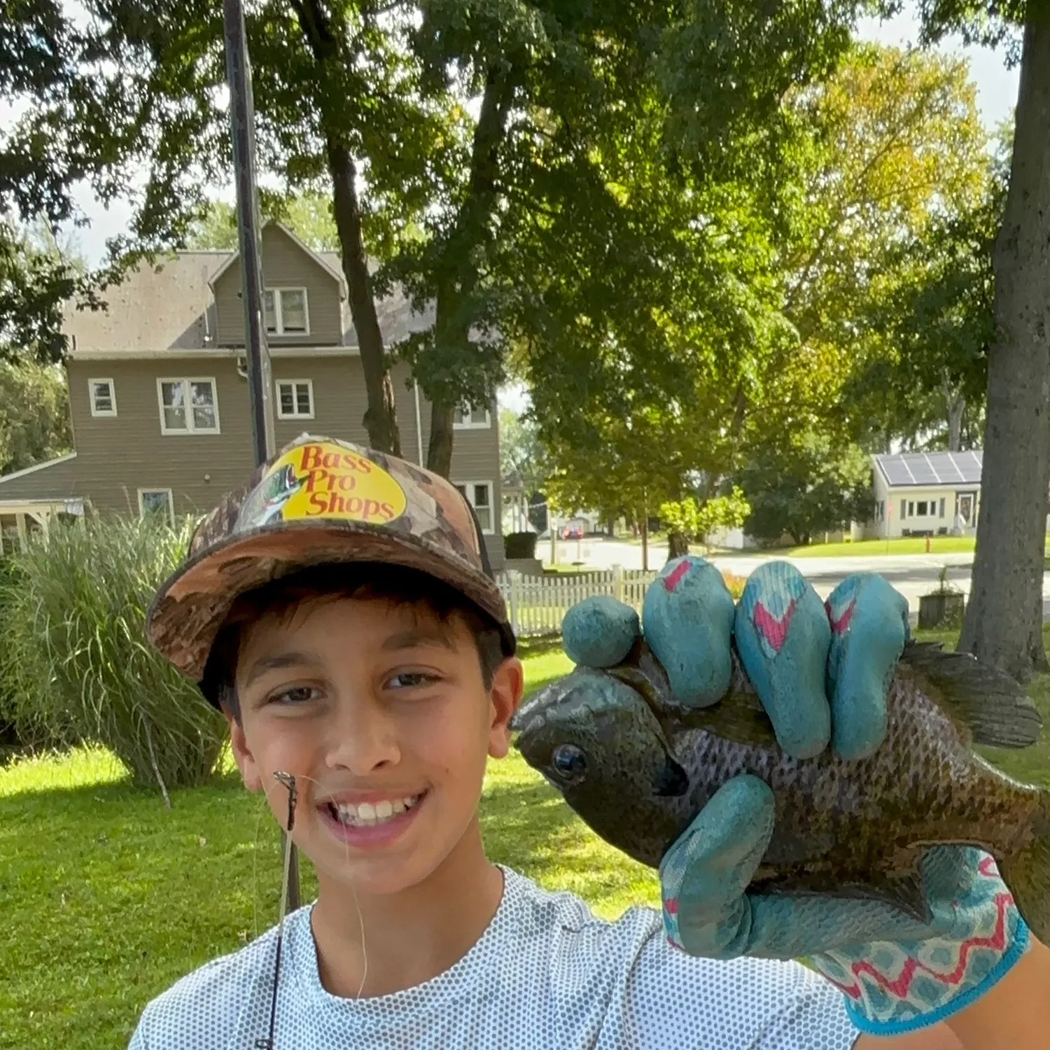 Bluegill caught on Fishbrain