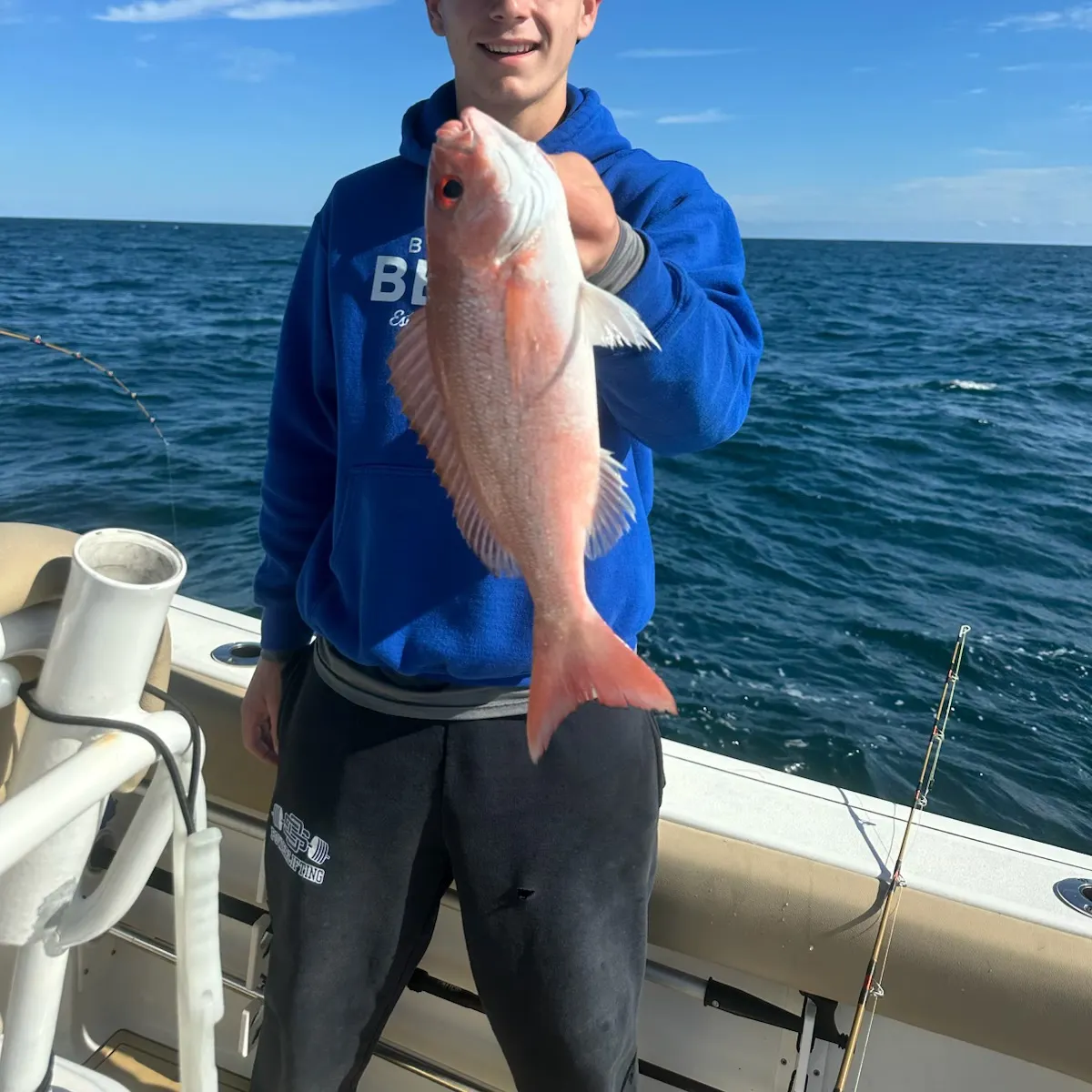 The most recent Vermilion snapper catches on Fishbrain