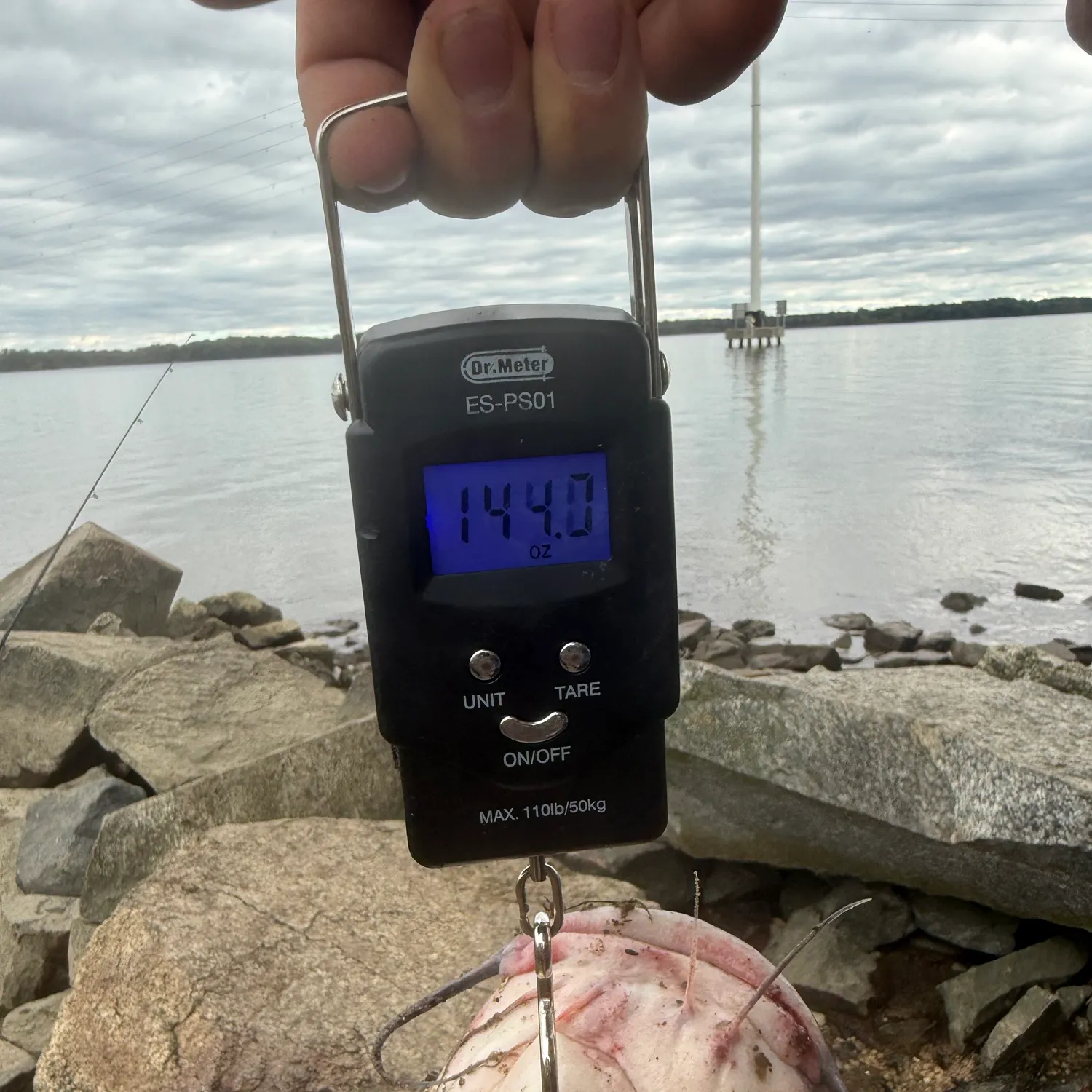 Fish caught on Fishbrain