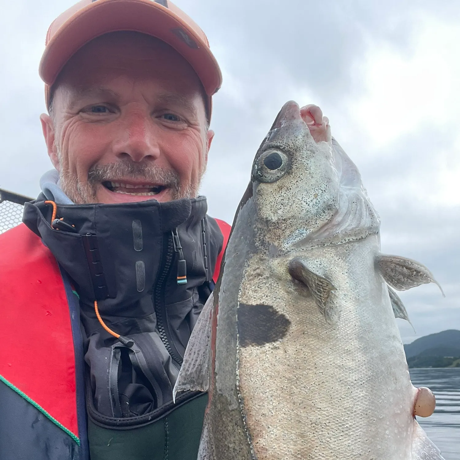 Haddock caught on Fishbrain