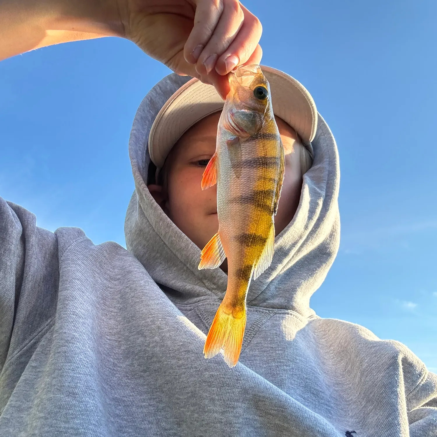 Fish caught on Fishbrain