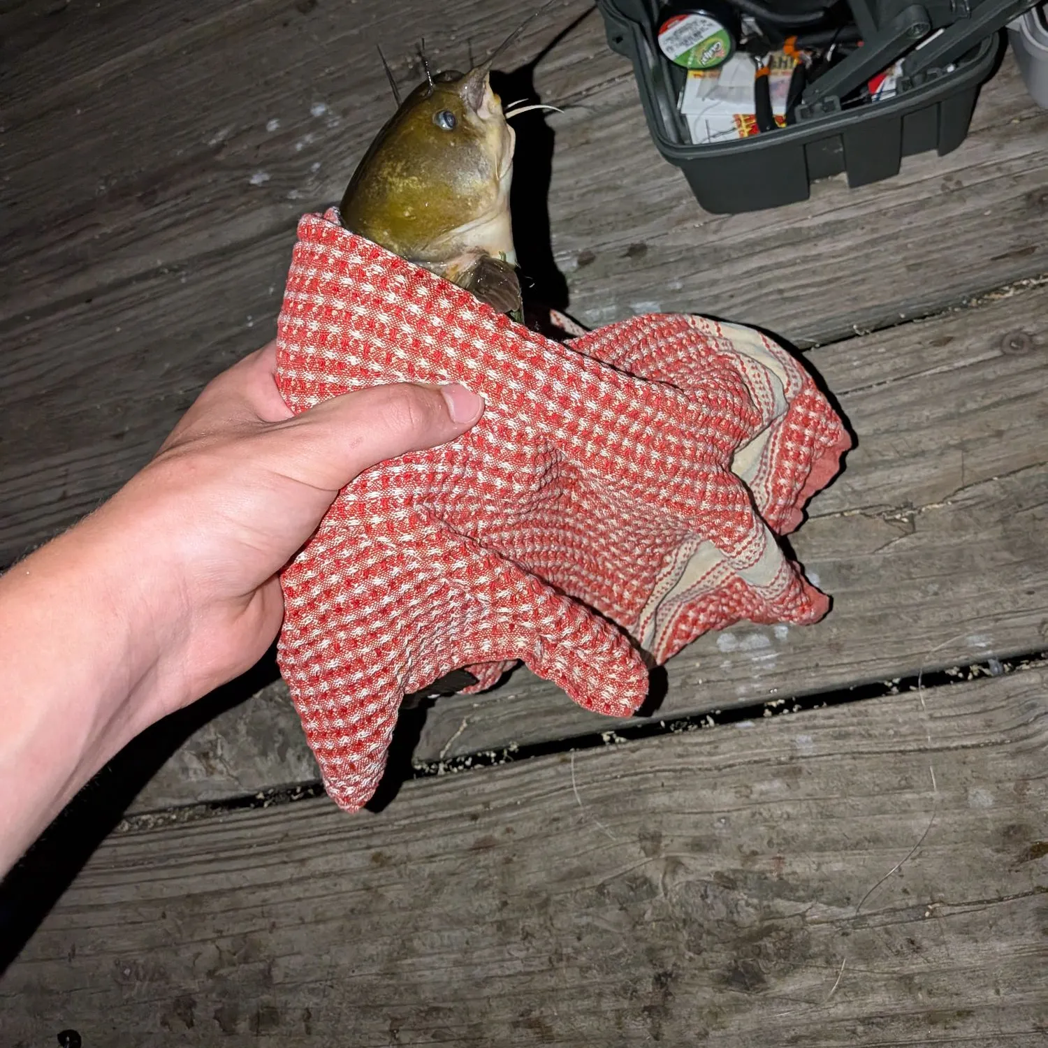 catch