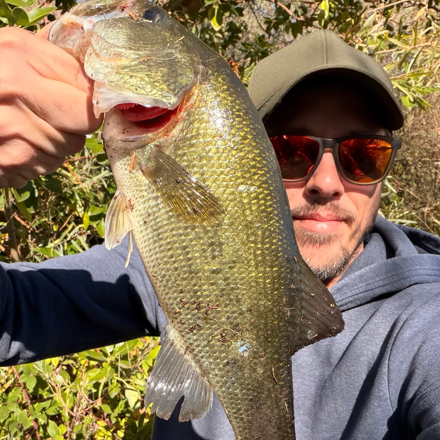 Largemouth bass caught on Fishbrain