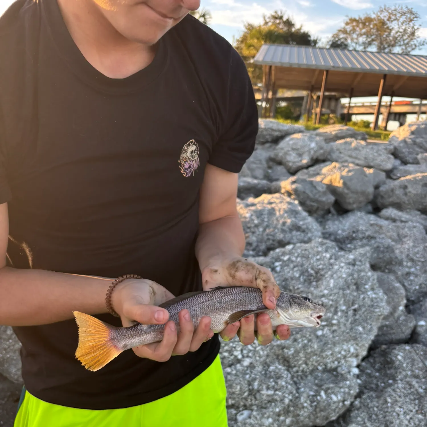 The most recent King George whiting catches on Fishbrain
