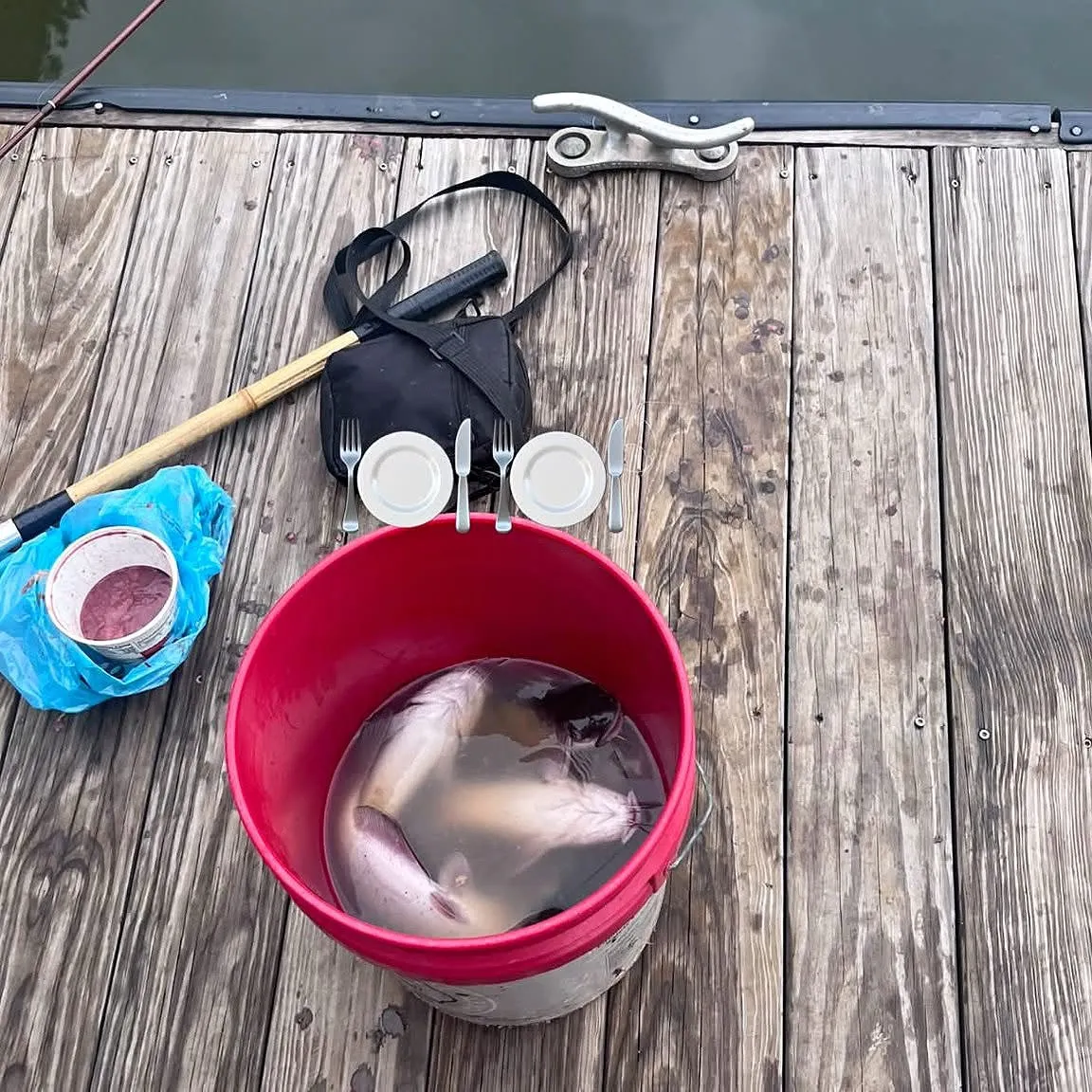 catch
