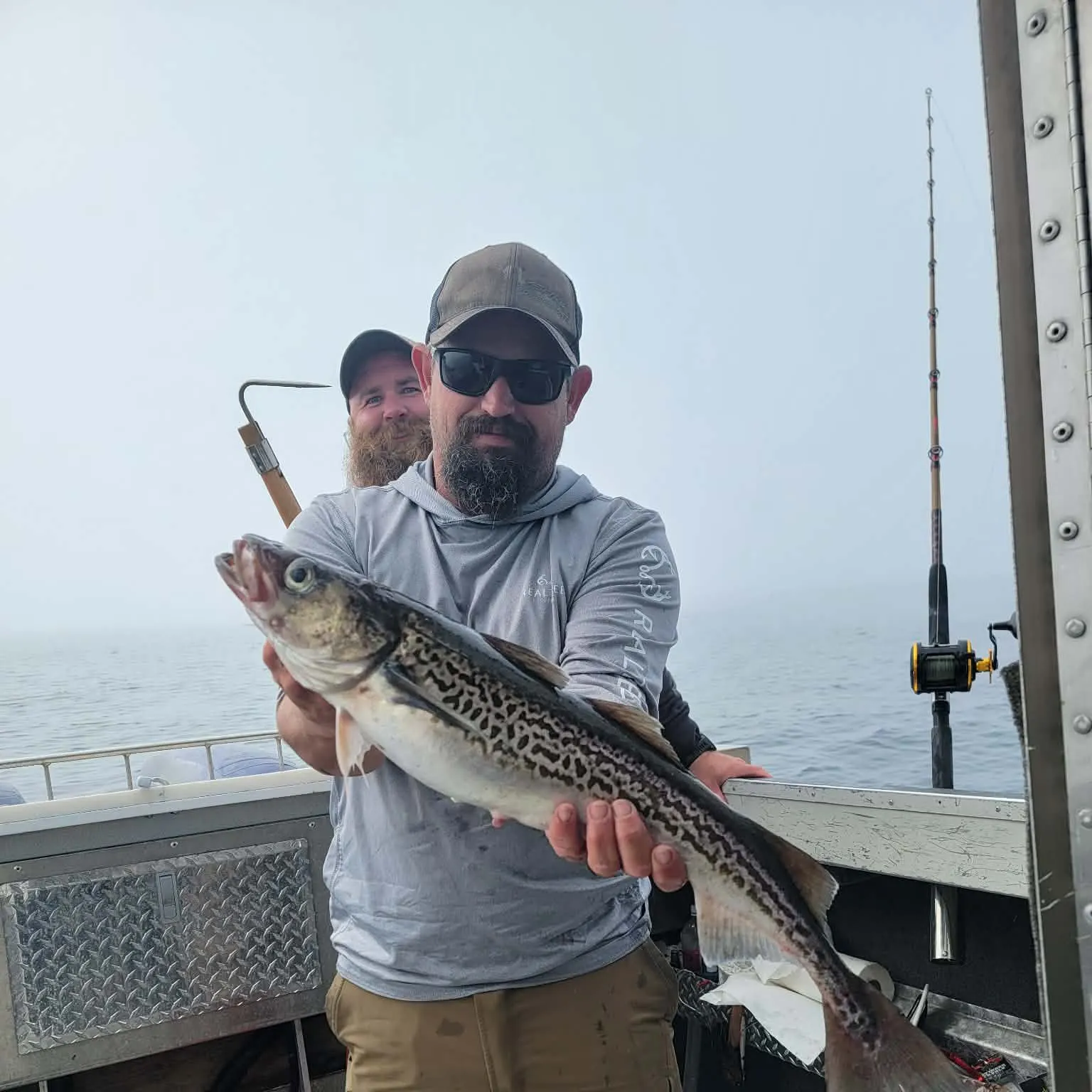The most recent Alaska pollock catches on Fishbrain