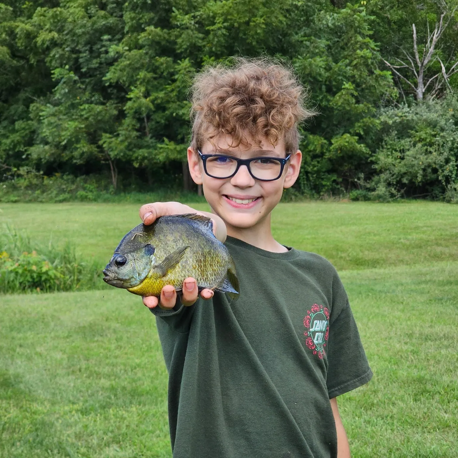 Bluegill caught on Fishbrain