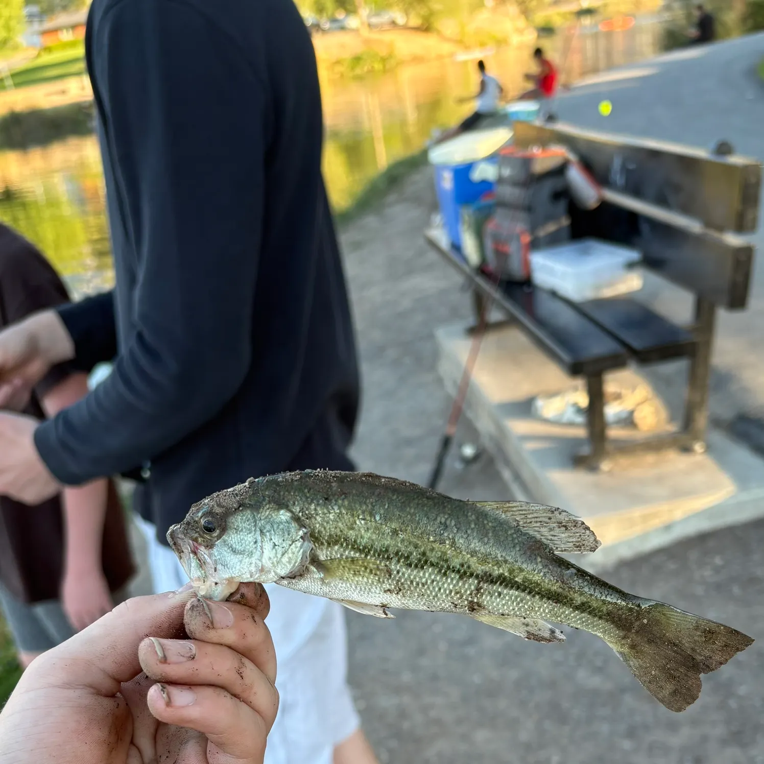 catch