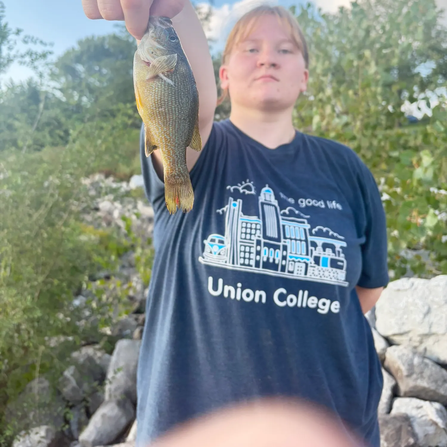 Bluegill caught on Fishbrain