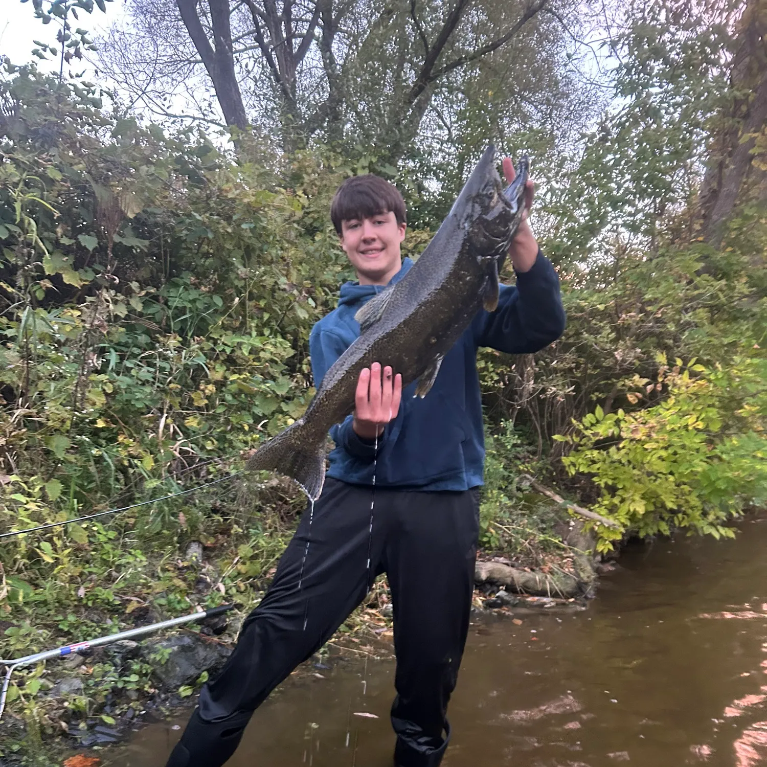 Chinook salmon caught on Fishbrain