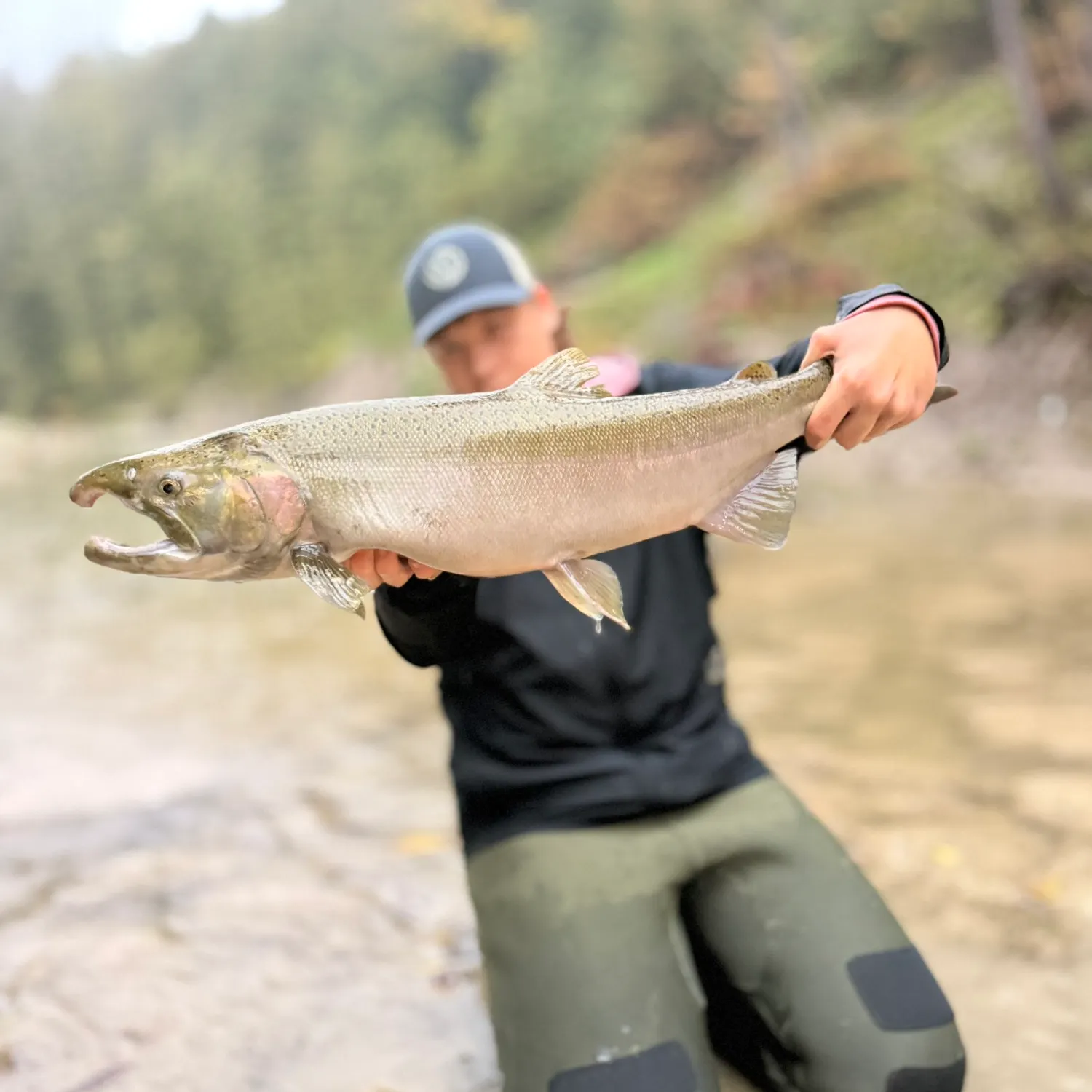 Coho salmon caught on Fishbrain