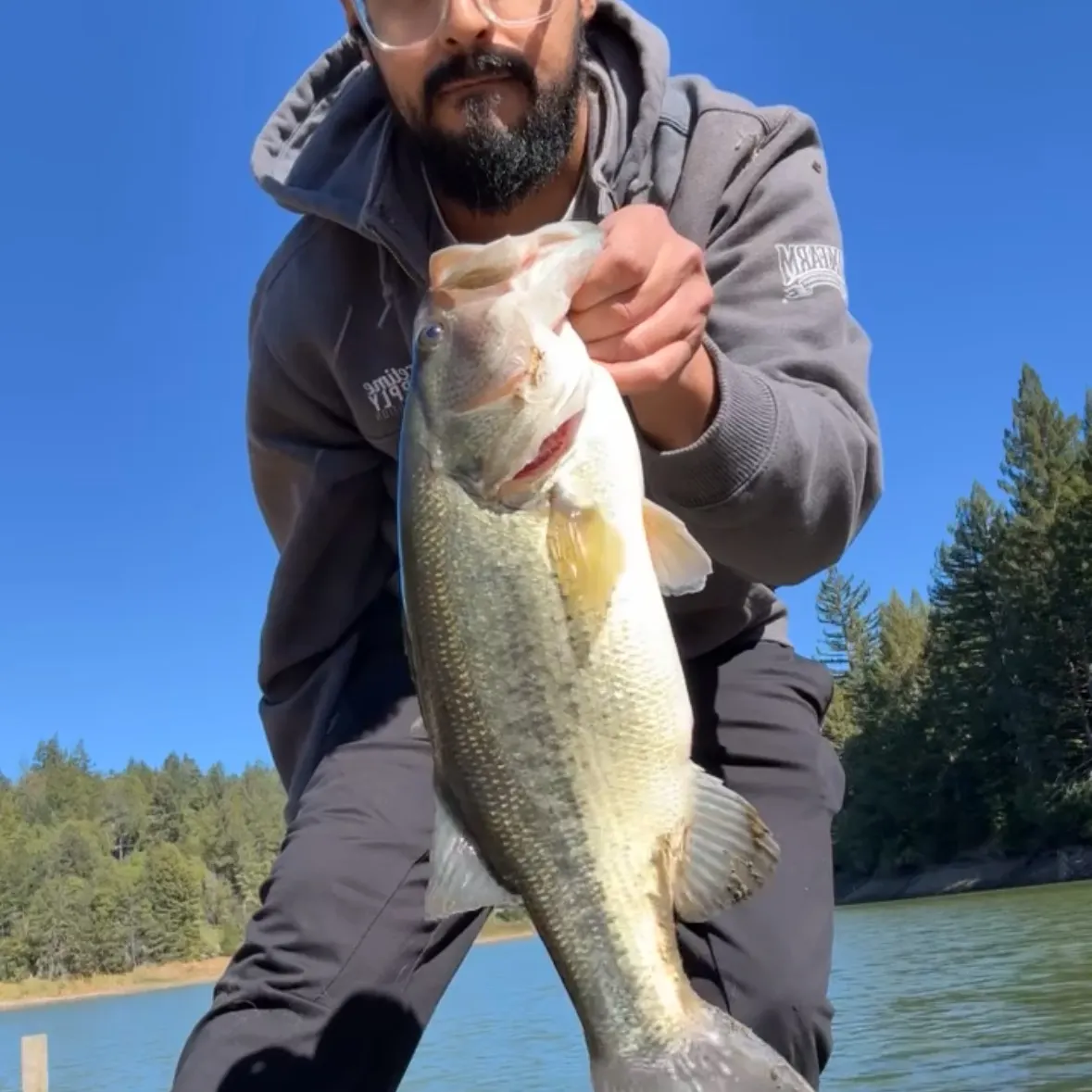 Largemouth bass caught on Fishbrain