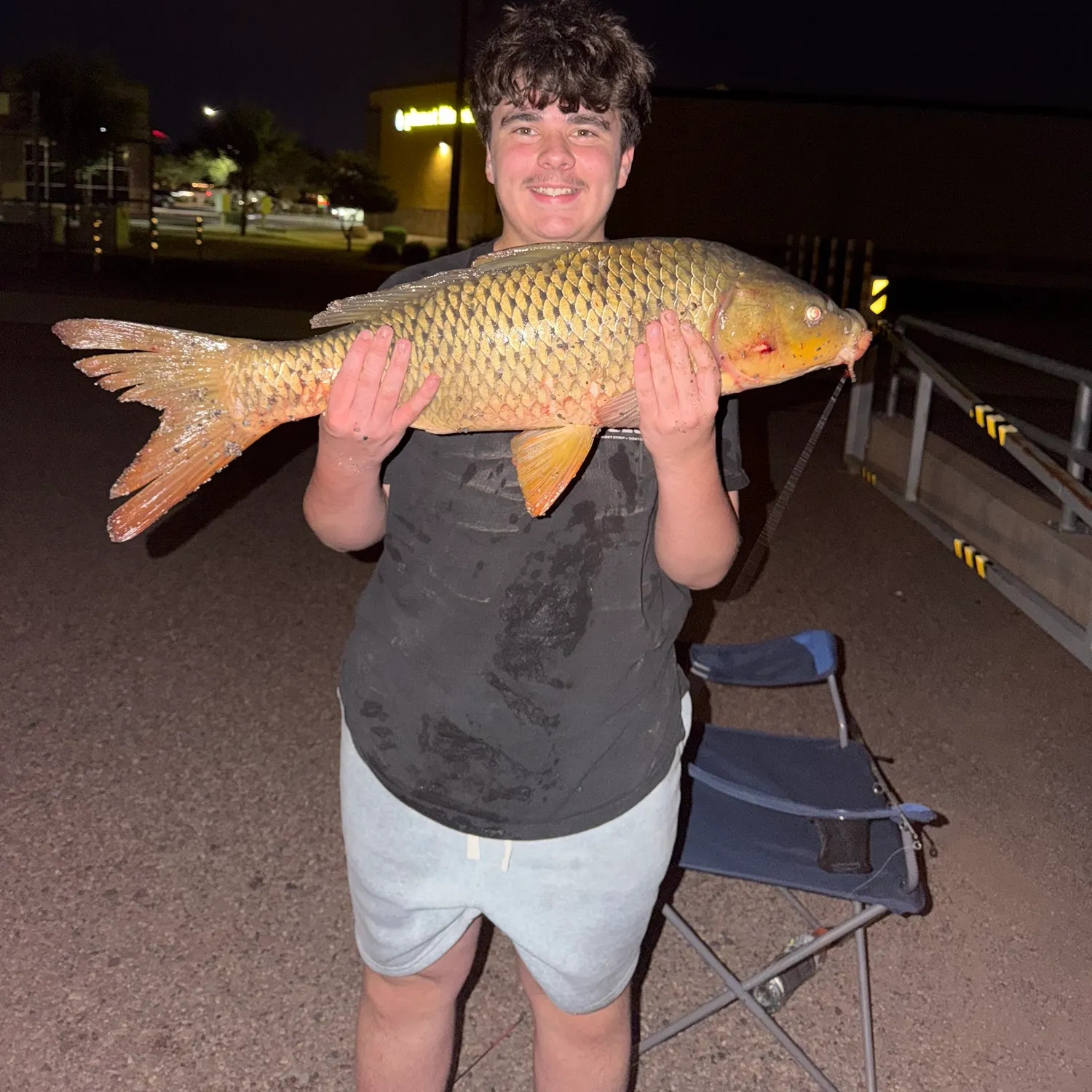 Common carp caught on Fishbrain