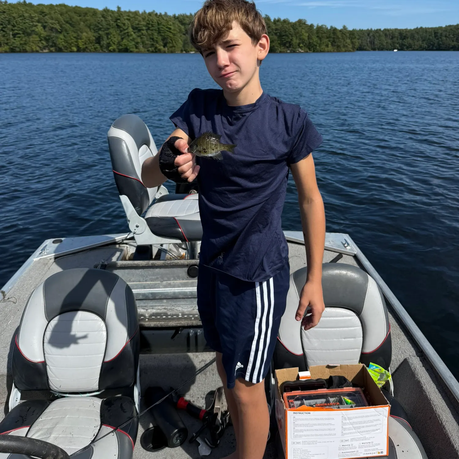 Bluegill caught on Fishbrain