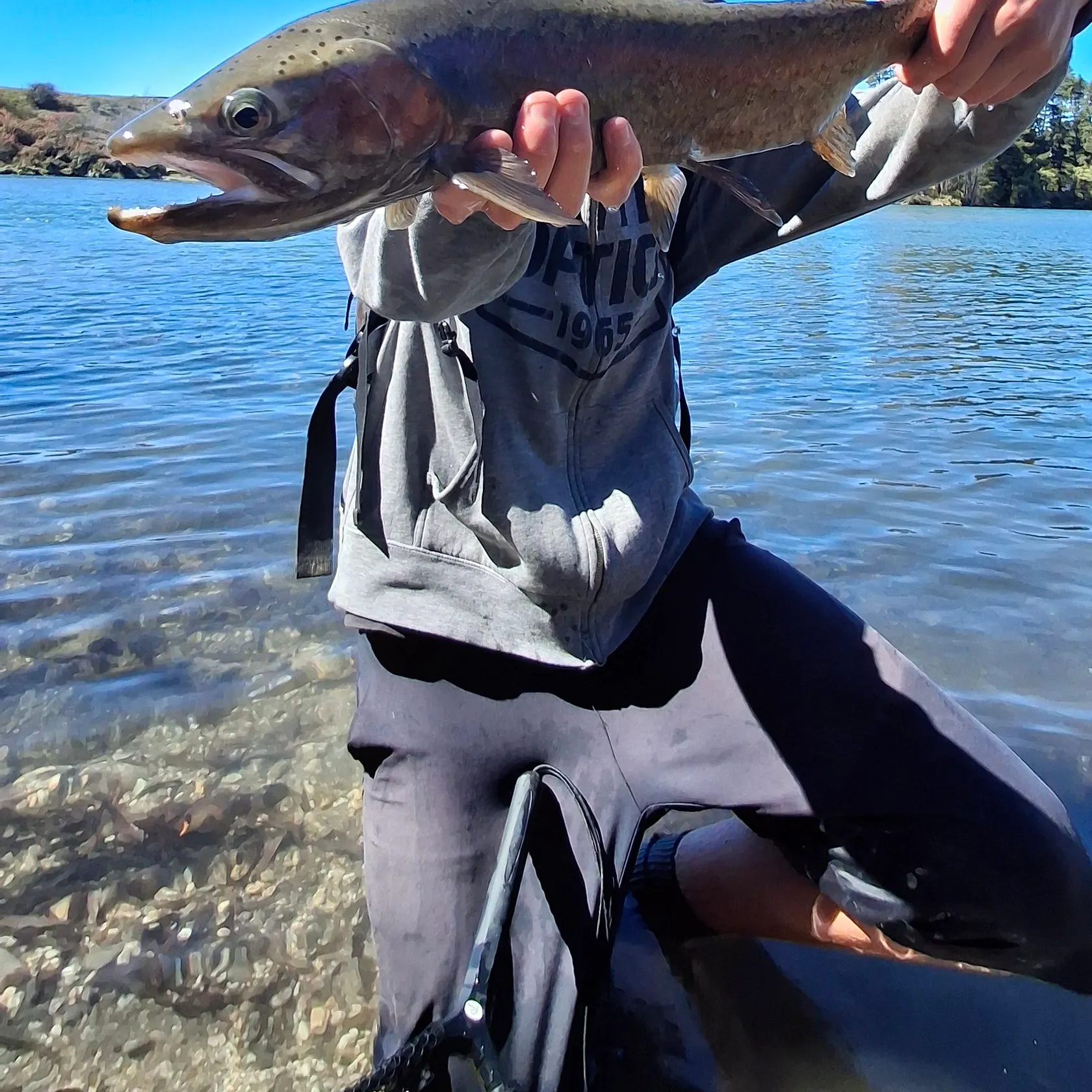 Rainbow trout caught on Fishbrain