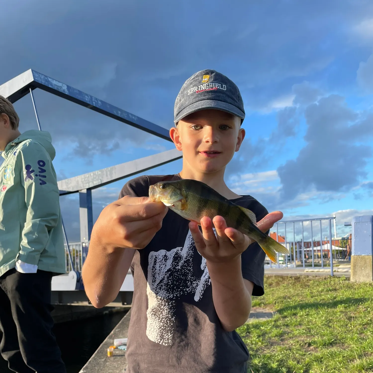 European perch caught on Fishbrain