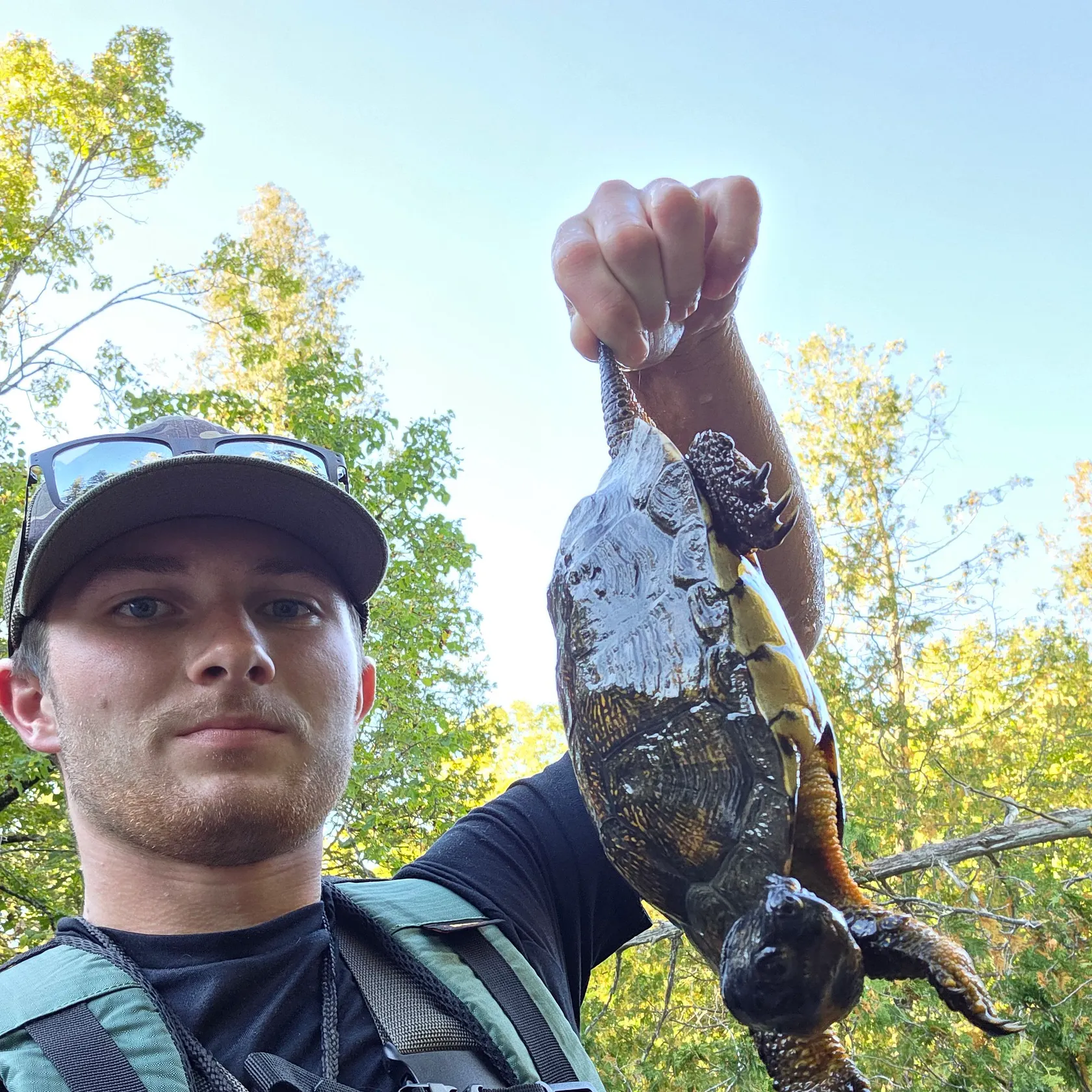 Fish caught on Fishbrain