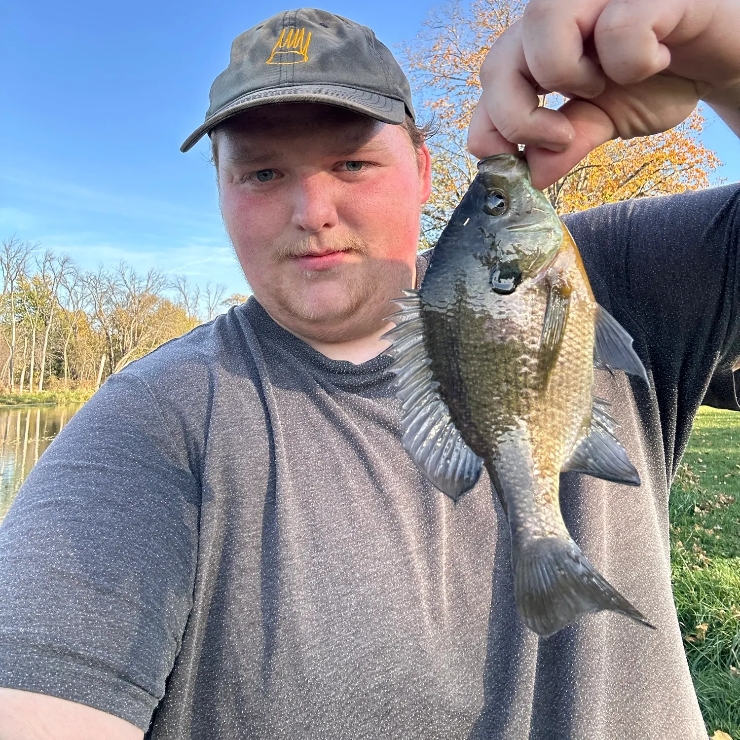 Bluegill caught on Fishbrain
