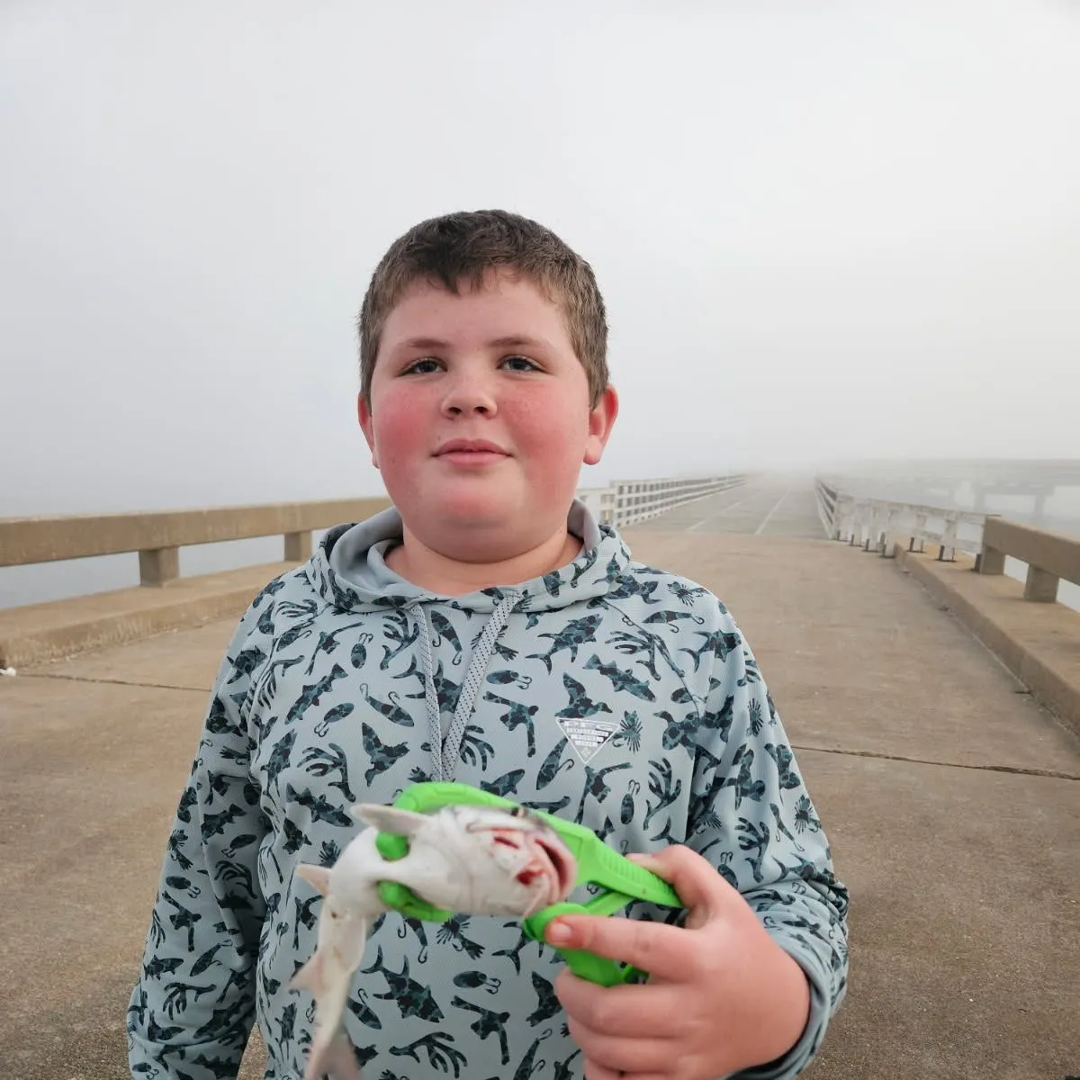 The most recent Gafftopsail sea catfish catches on Fishbrain