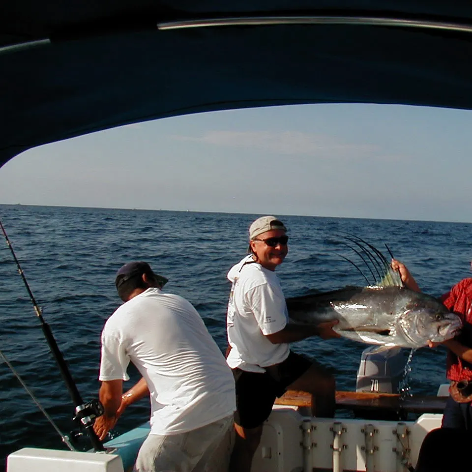 The most recent Roosterfish catches on Fishbrain