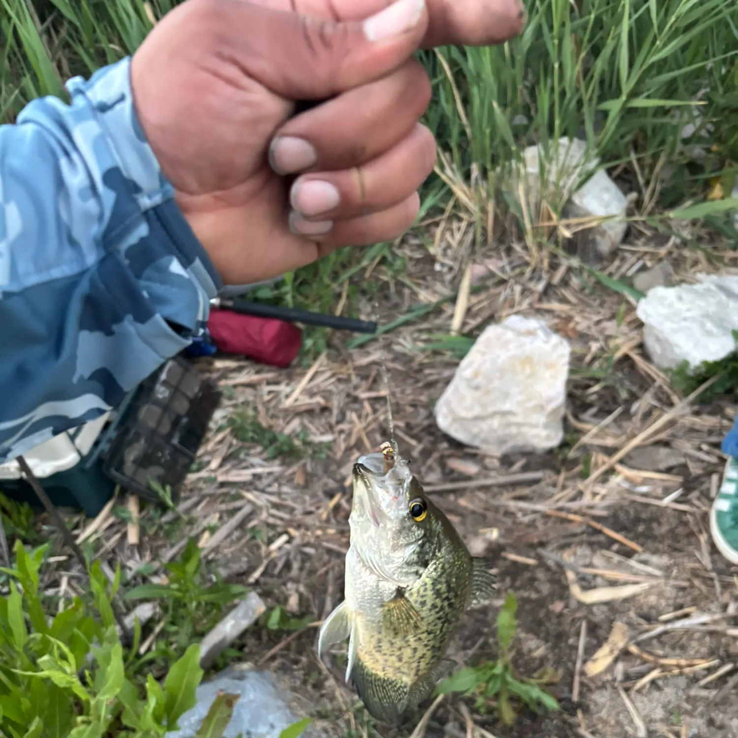 catch