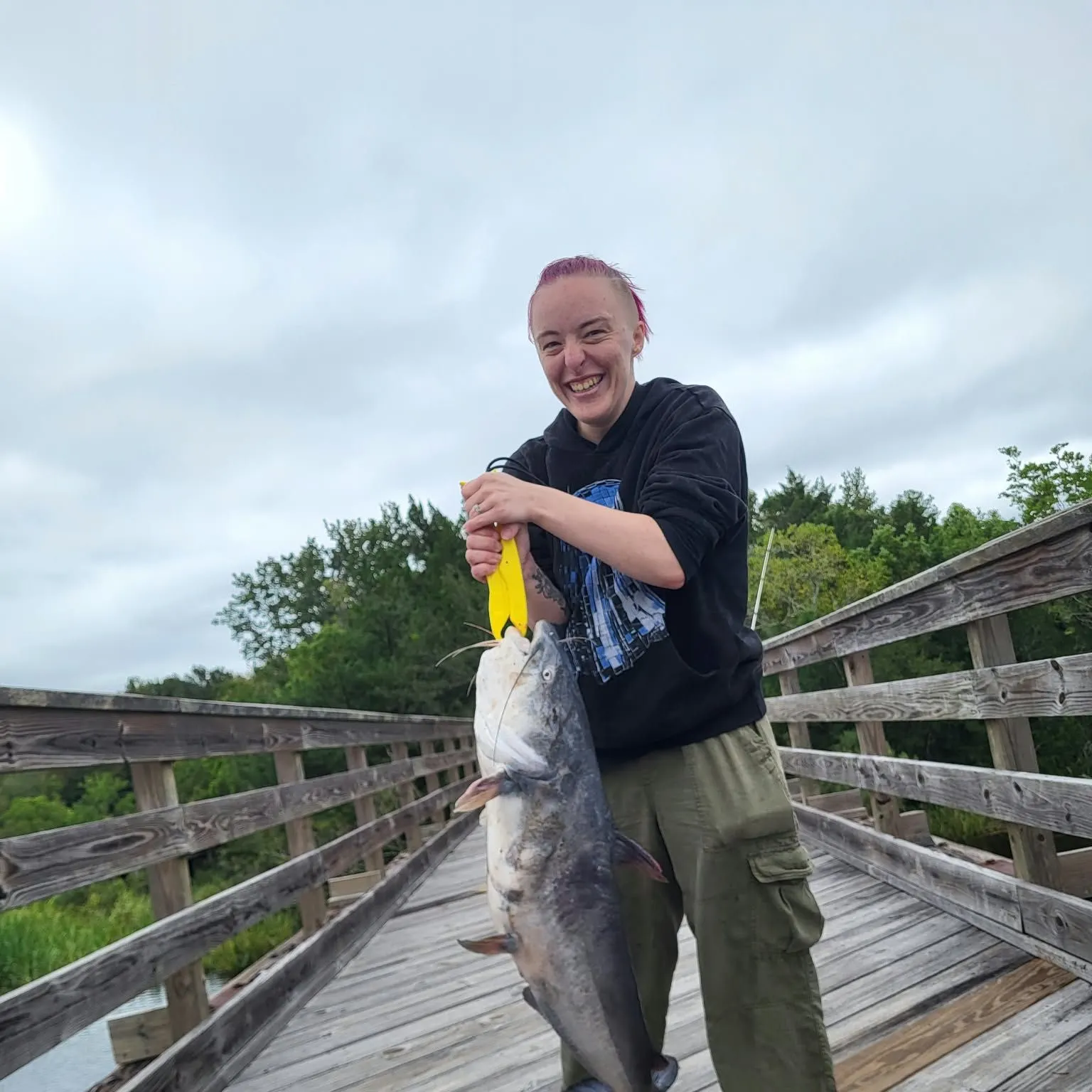 Blue catfish caught on Fishbrain