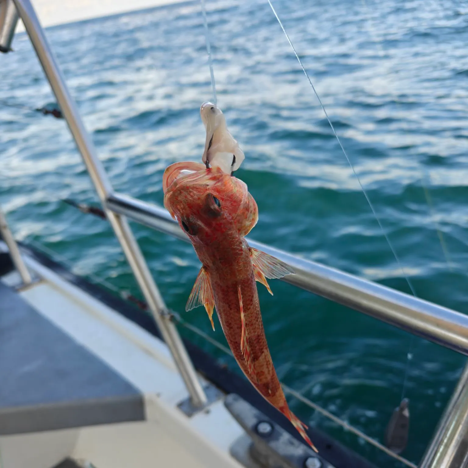 Sergeant Baker caught on Fishbrain