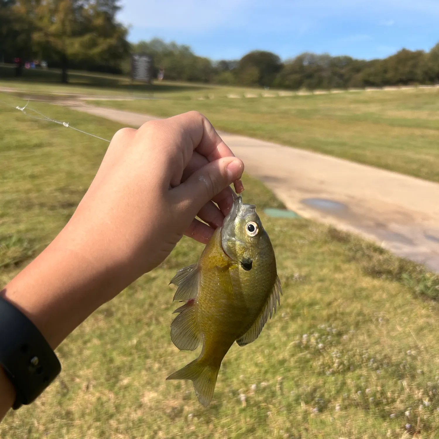 catch