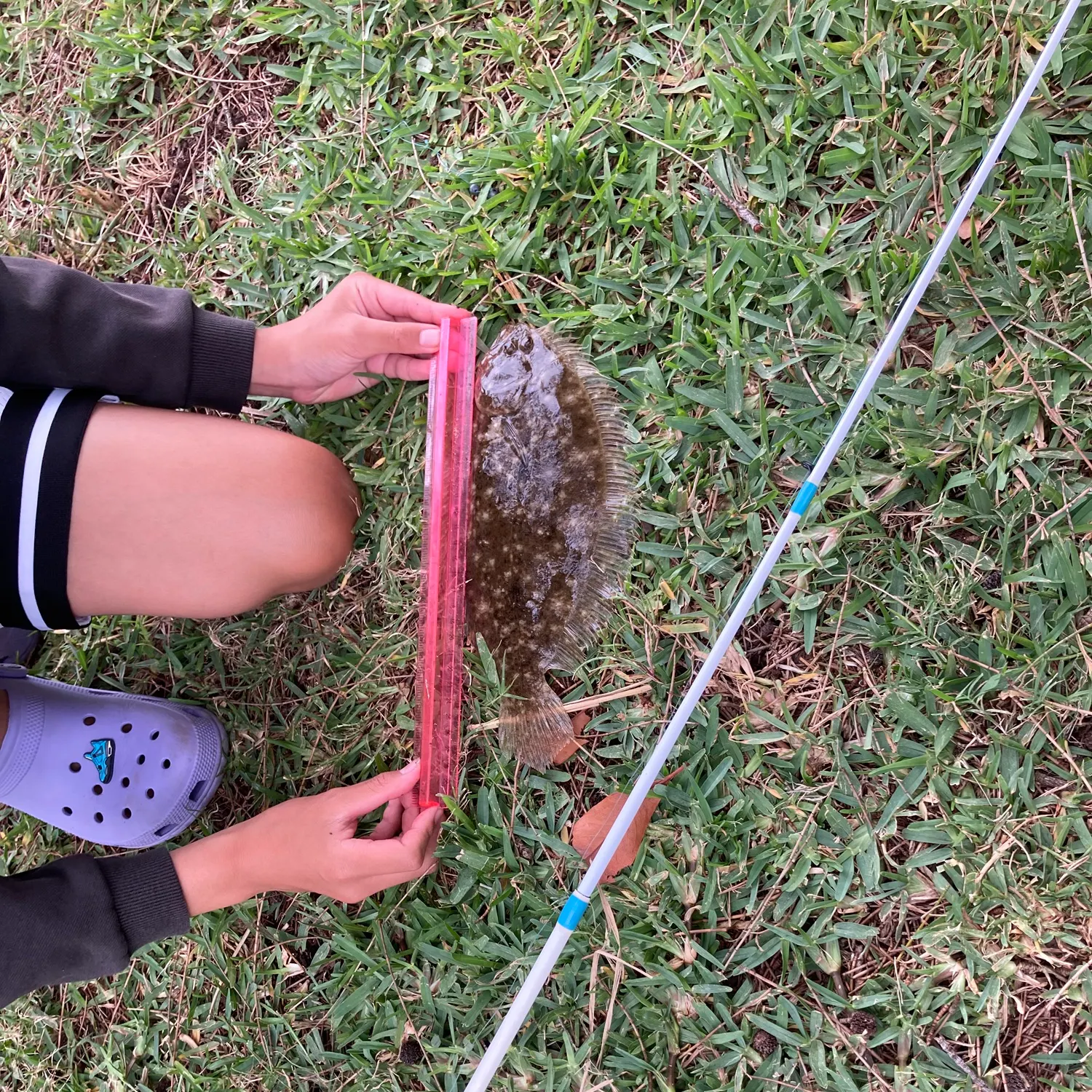 The most recent Gulf flounder catches on Fishbrain