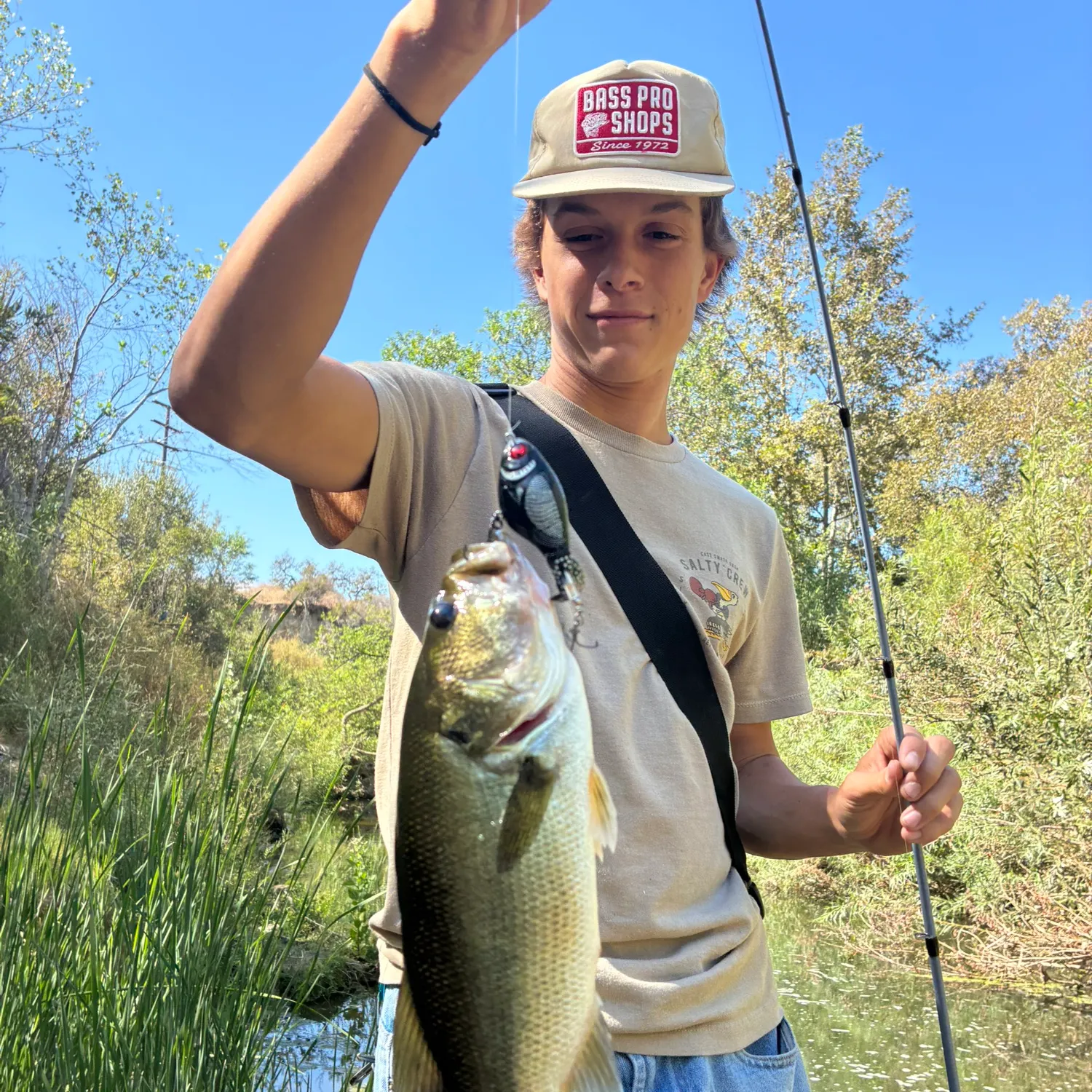 Largemouth bass caught on Fishbrain