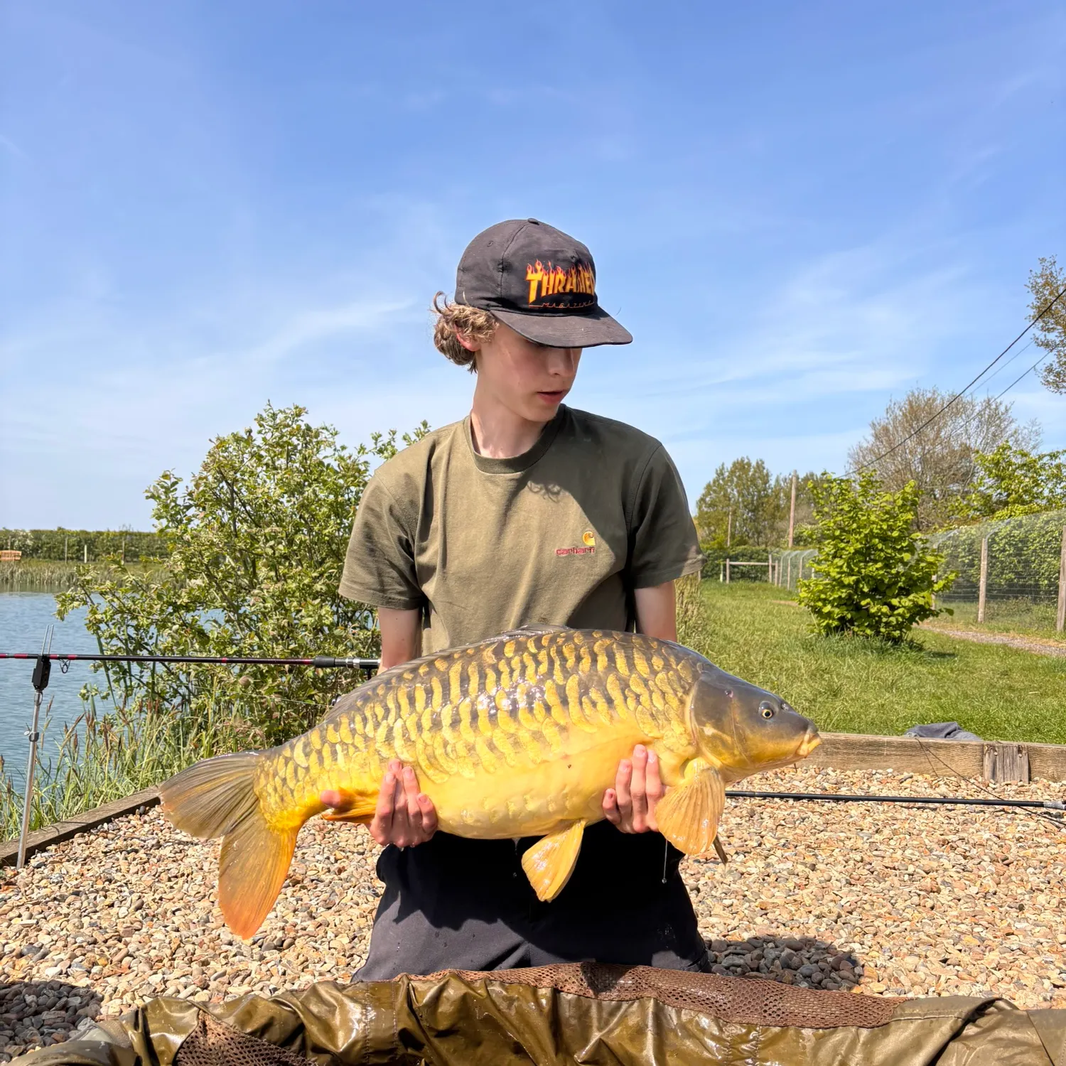 The most recent Mirror carp catches on Fishbrain