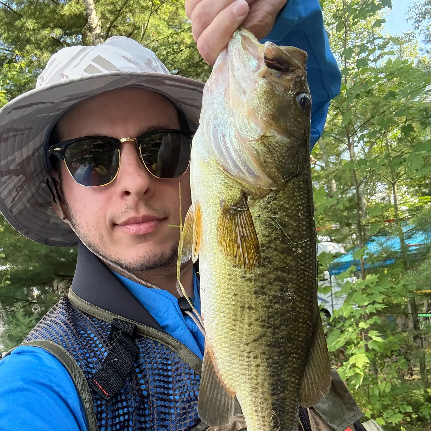 Largemouth bass caught on Fishbrain