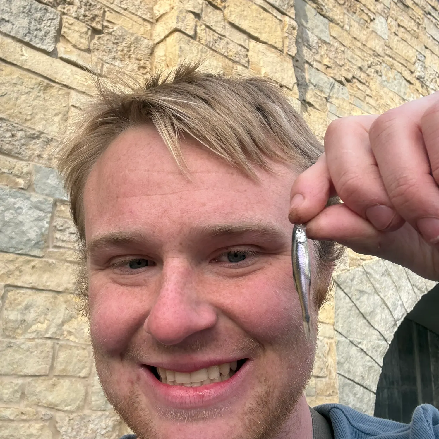 The most recent Emerald shiner catches on Fishbrain