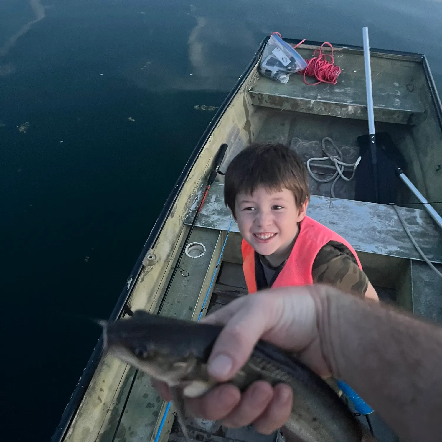 Channel catfish caught on Fishbrain