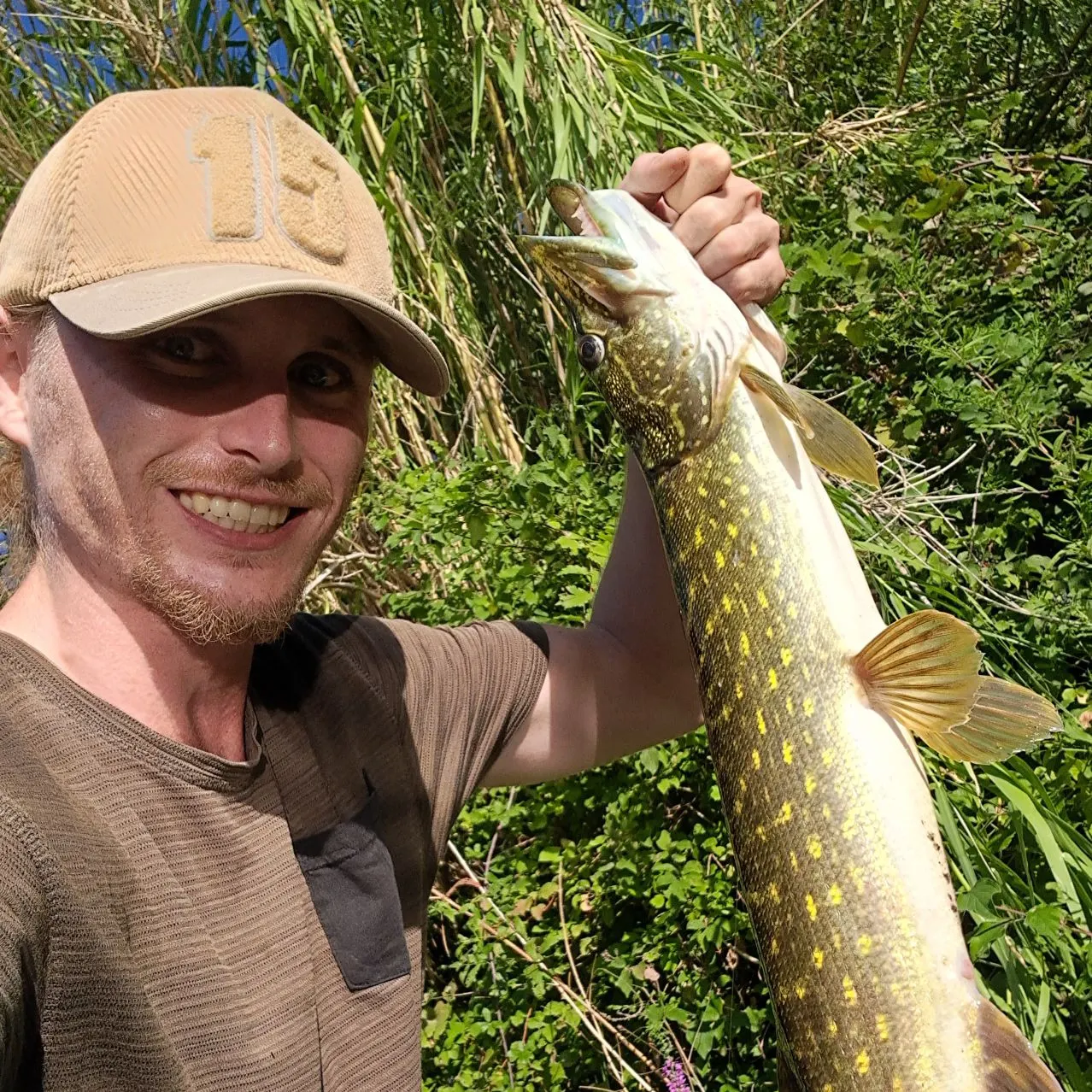 Northern pike caught on Fishbrain