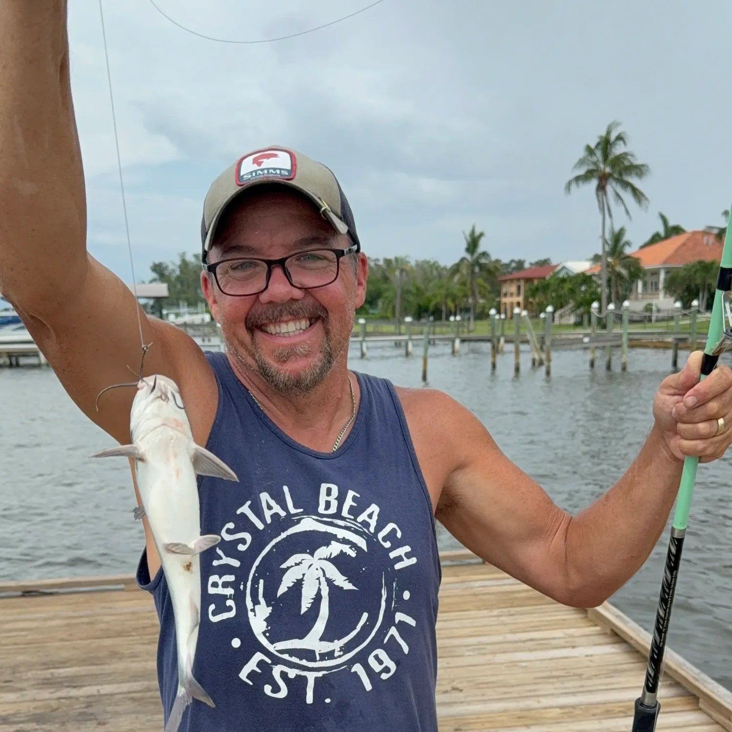 Hardhead sea catfish caught on Fishbrain