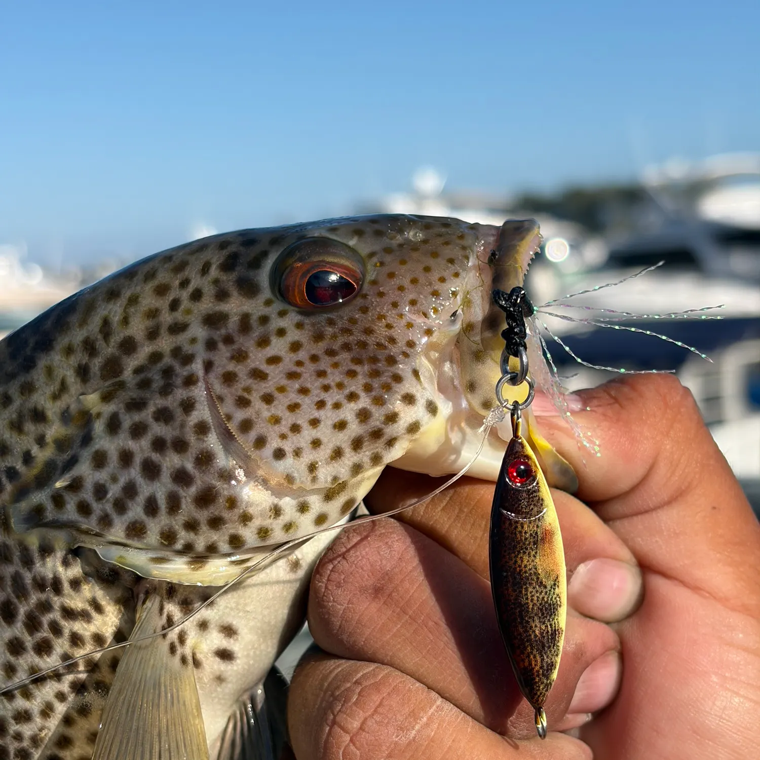 catch