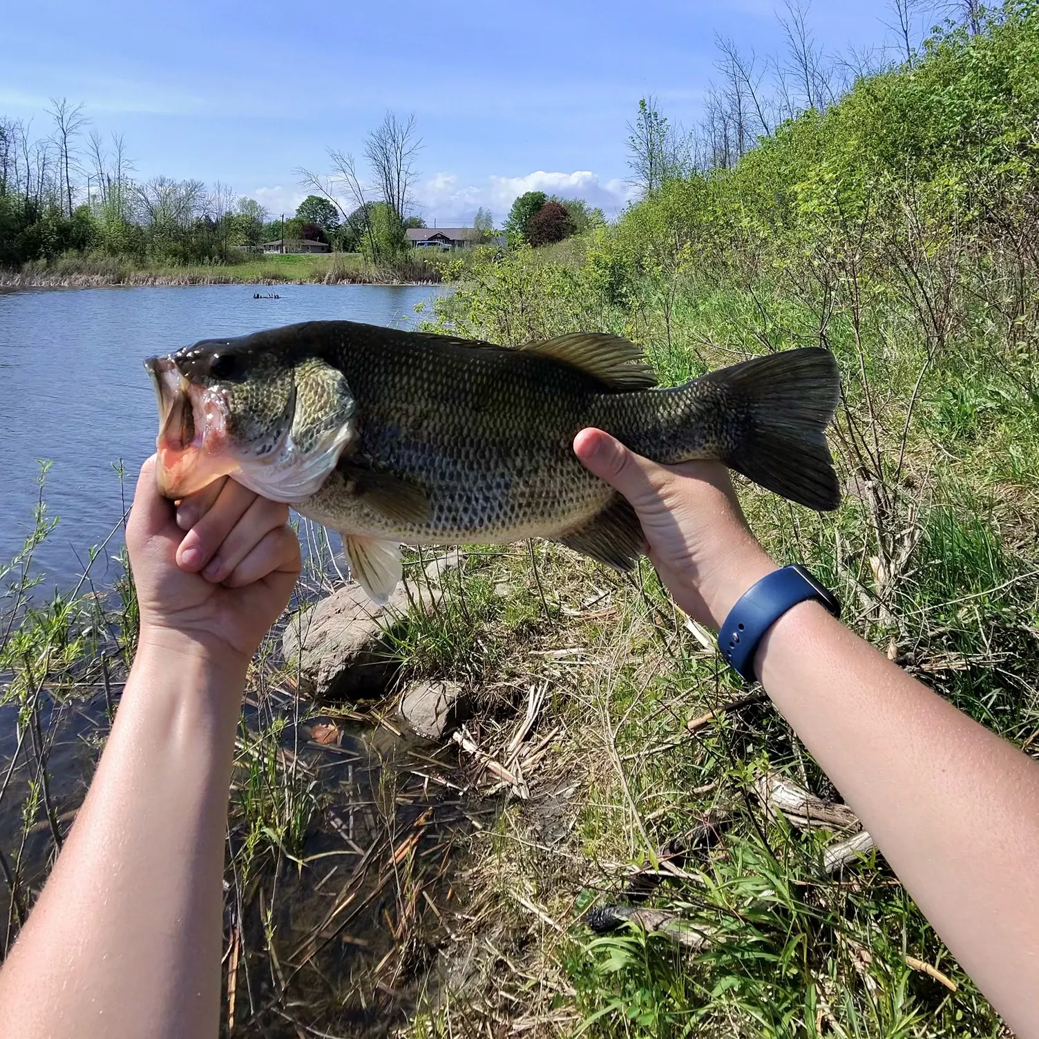 catch