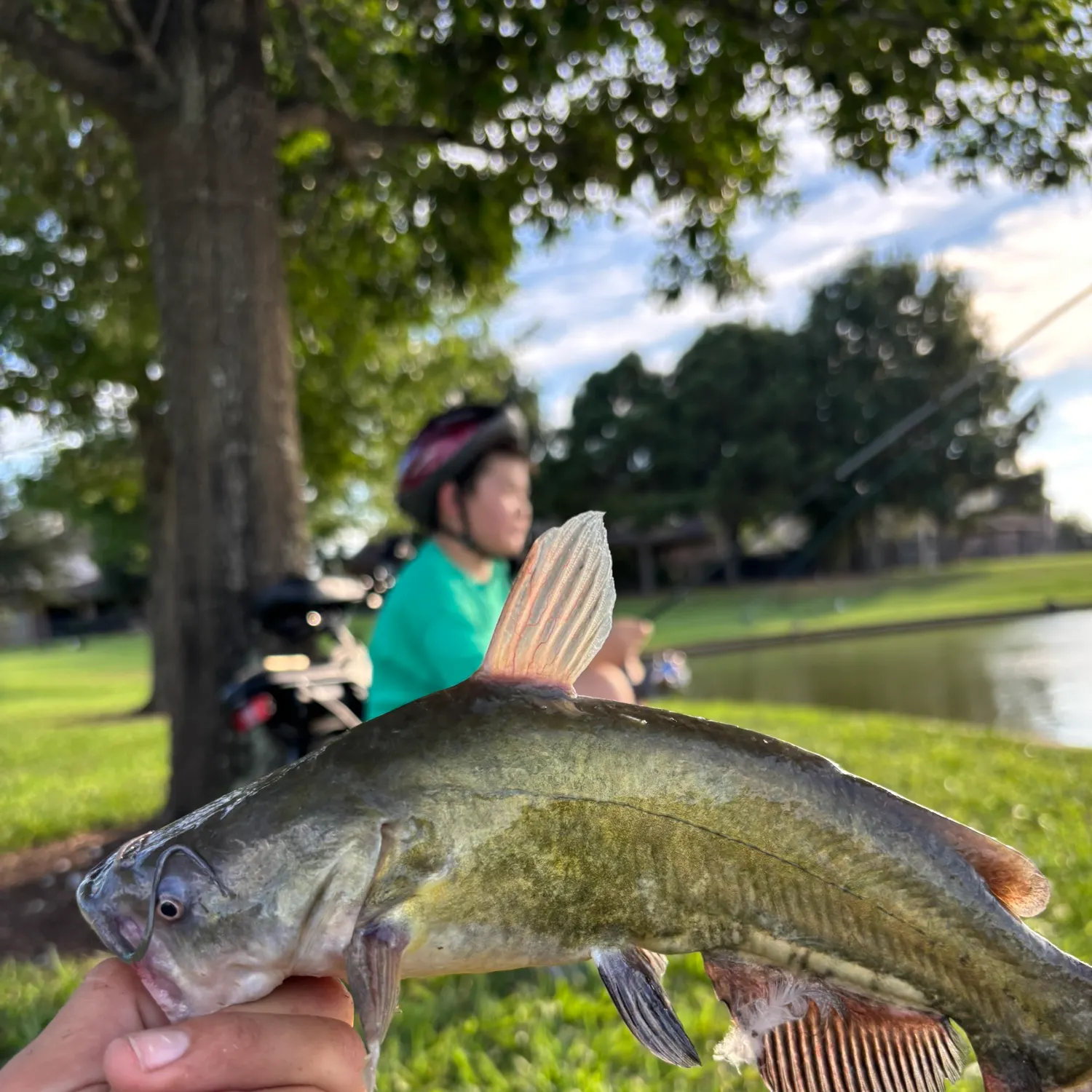 Fish caught on Fishbrain