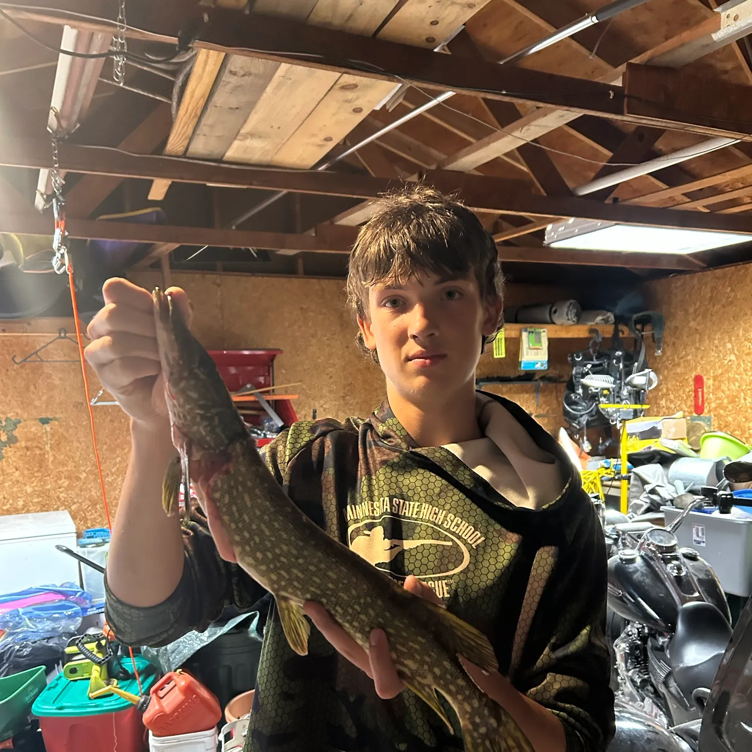 Northern pike caught on Fishbrain